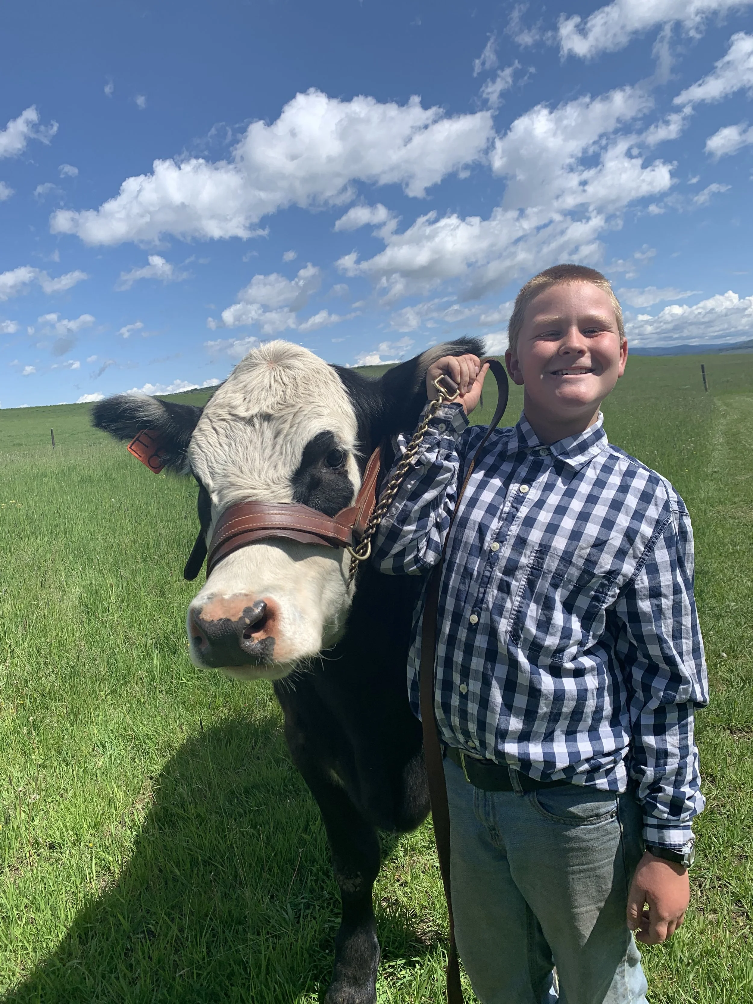 A young boy smiling and holding a leash attached to a black and white calf, standing in a green field under a partly cloudy sky.