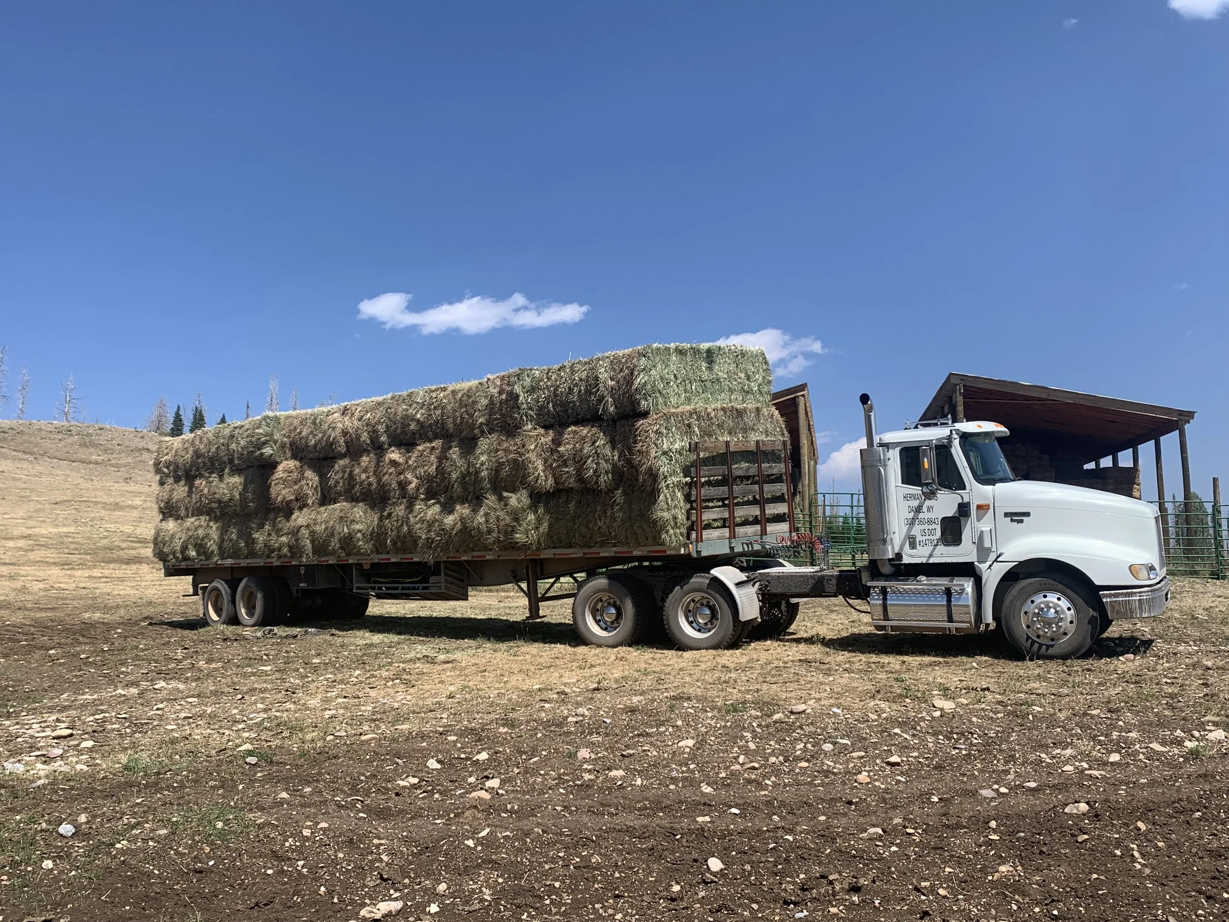 A semi-truck parked on a farm, carrying large hay bales, with a barn and blue sky in the background.