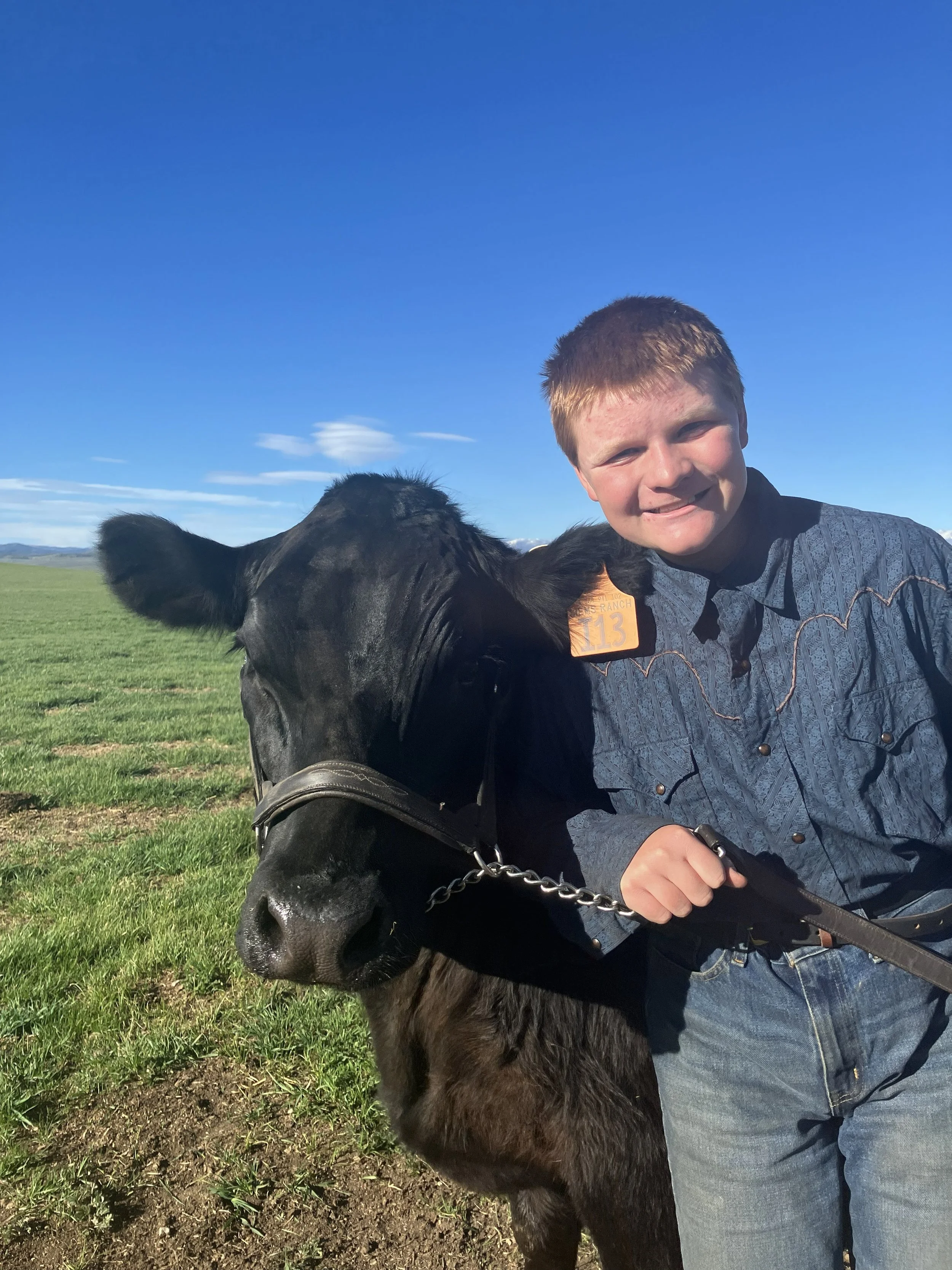 A young man with short red hair taking a selfie with a black calf in a green field under a blue sky.