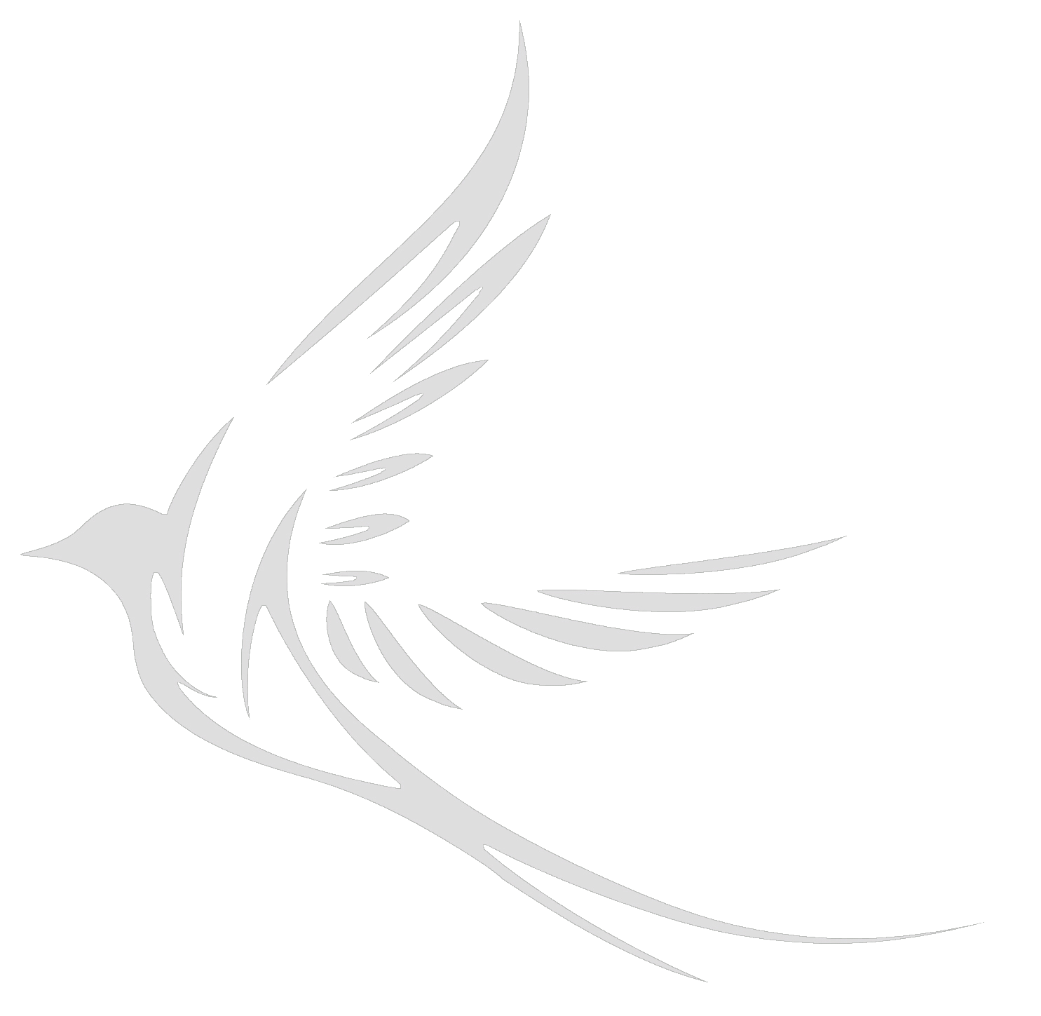 Wildbird Films