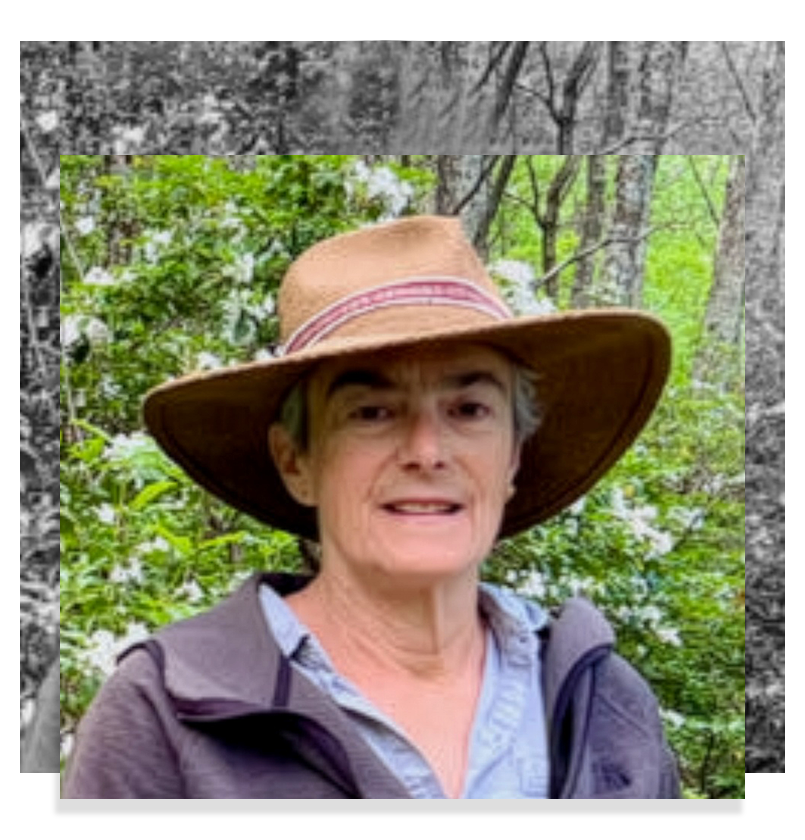 A senior woman with gray hair wearing a large straw hat, a blue collared shirt, and a purple jacket standing outdoors among green trees and white flowers.