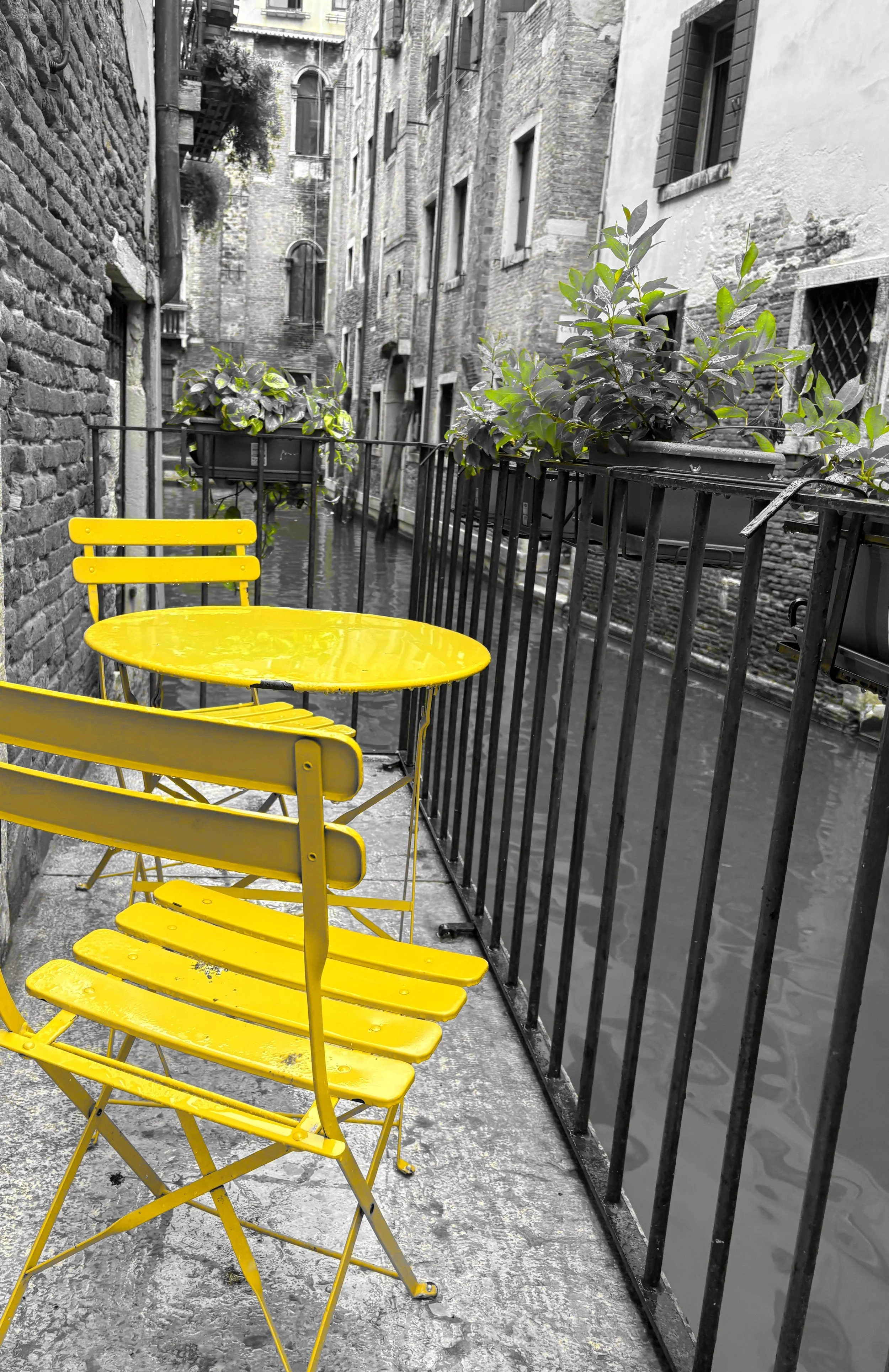 Yellow Cafe