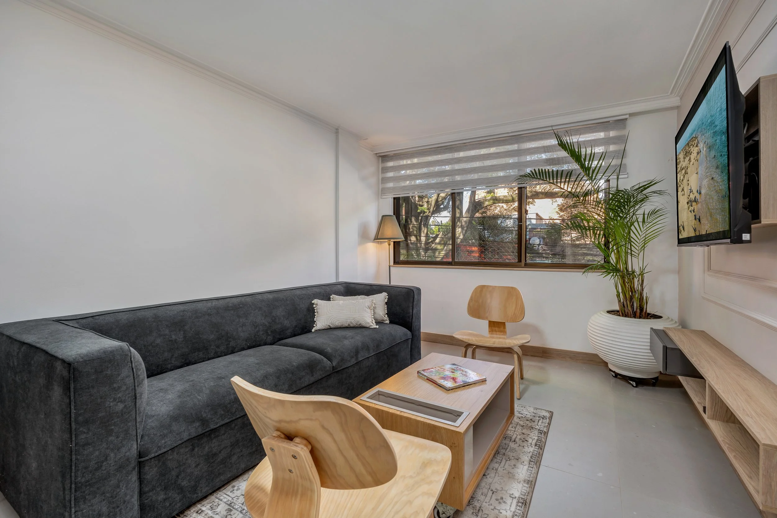 Sala de estar con sofá gris, mesa de madera, dos sillas de madera, planta grande en una maceta blanca, pared blanca, ventana con vista a árboles, cortinas blancas, lámpara de pie