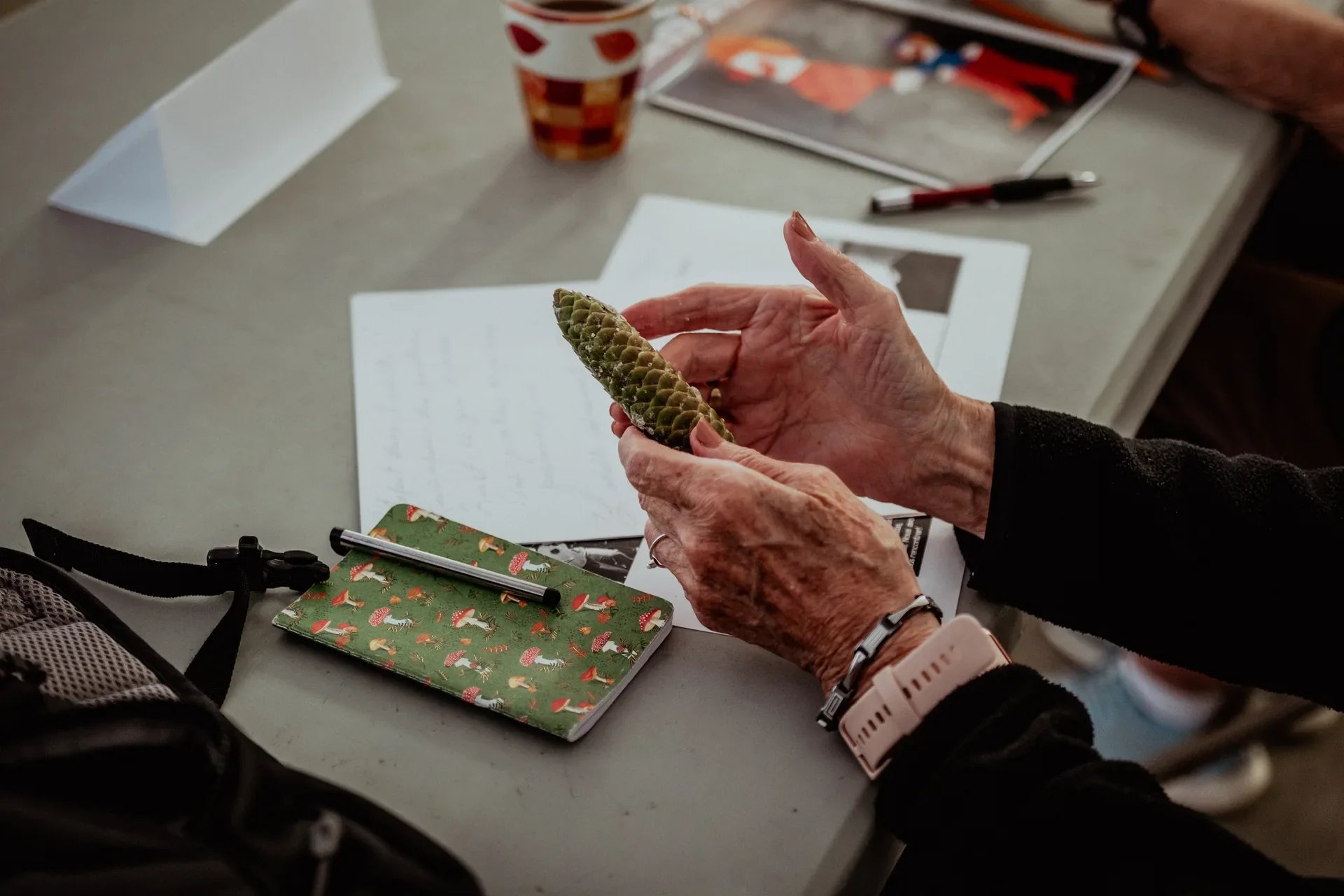 Mains d'une personne âgée tenant une pomme de pin, posée sur une table avec des objets divers tels qu'un carnet, un stylo, un sac à dos, un tasses, et des papiers.