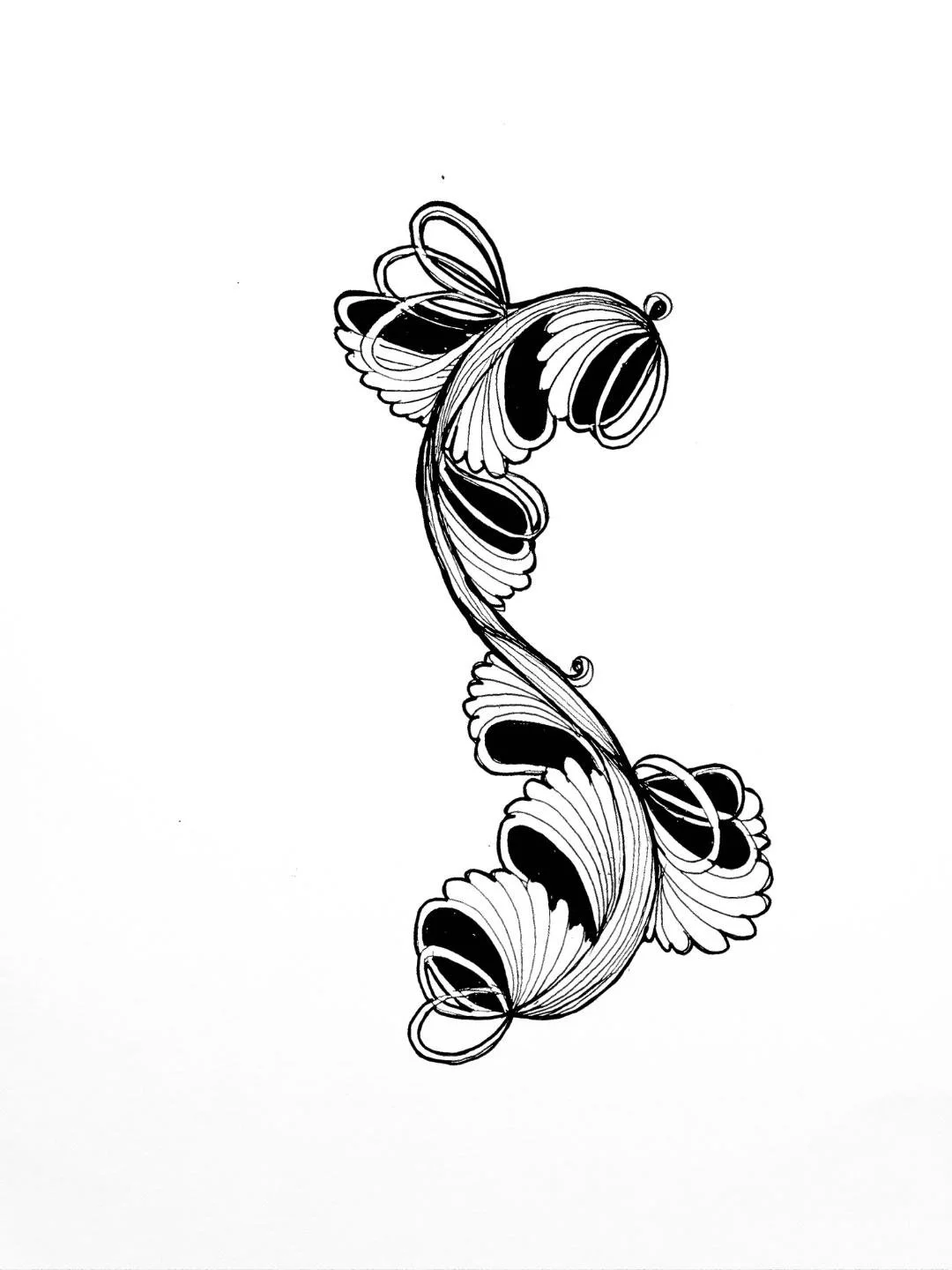 Black and white illustration of a symmetrical, abstract butterfly with curved lines and intricate detailing.