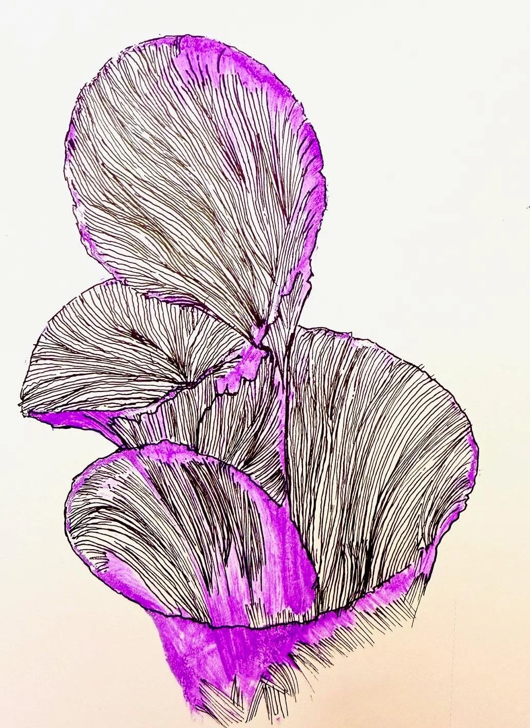 Line drawing of a flower with purple accents.