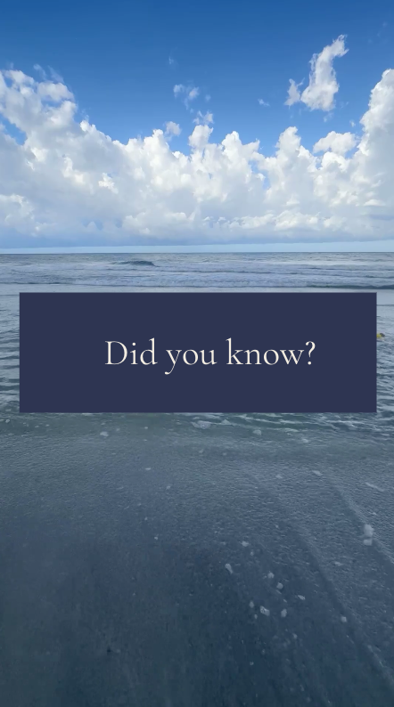 View of ocean with cloudy sky and a dark blue box in the center containing the text "Did you know?"