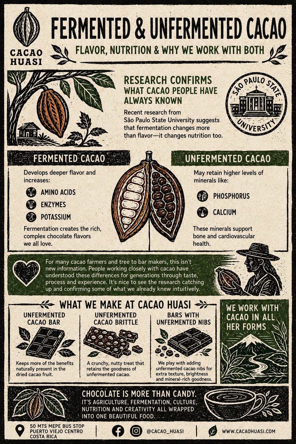 Fermented vs Unfermented Cacao: Flavor, Nutrition &amp; Why We Work With Both