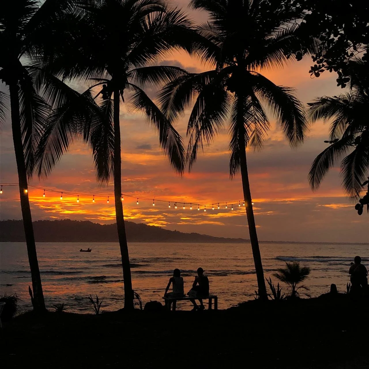 A Different Kind of Date Night in Puerto Viejo