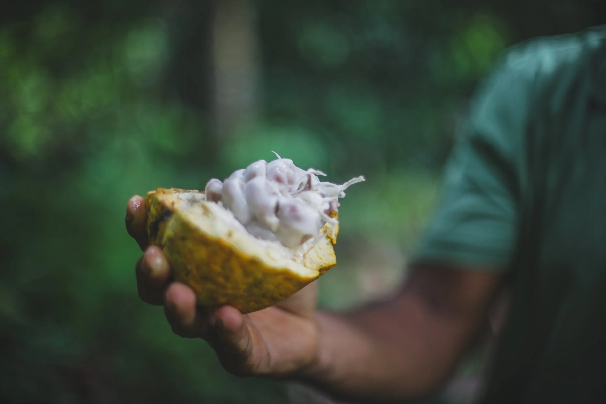 A person holding a half-cut pineapple with a creamy substance inside, set against a blurred green background.