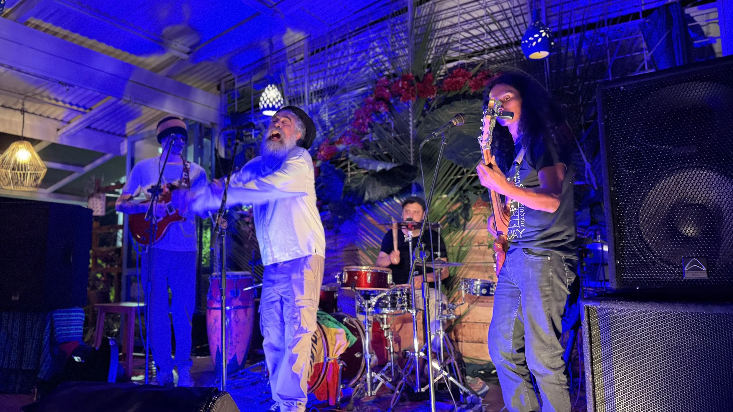 A band performing on stage with man singing into a microphone, woman playing guitar, and other musicians playing drums and percussion, decorated with large green leaves and red flowers, under blue and purple lighting.