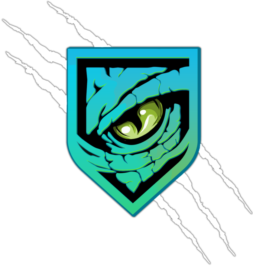 Wraptor Custom Designs