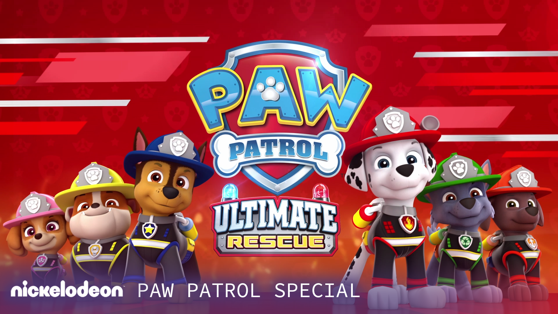 NICKELODEON - PAW PATROL SPECIAL