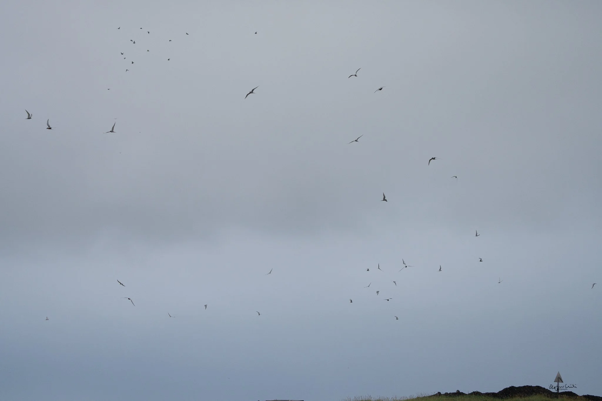 Spuearspace heimasíða-155.jpg