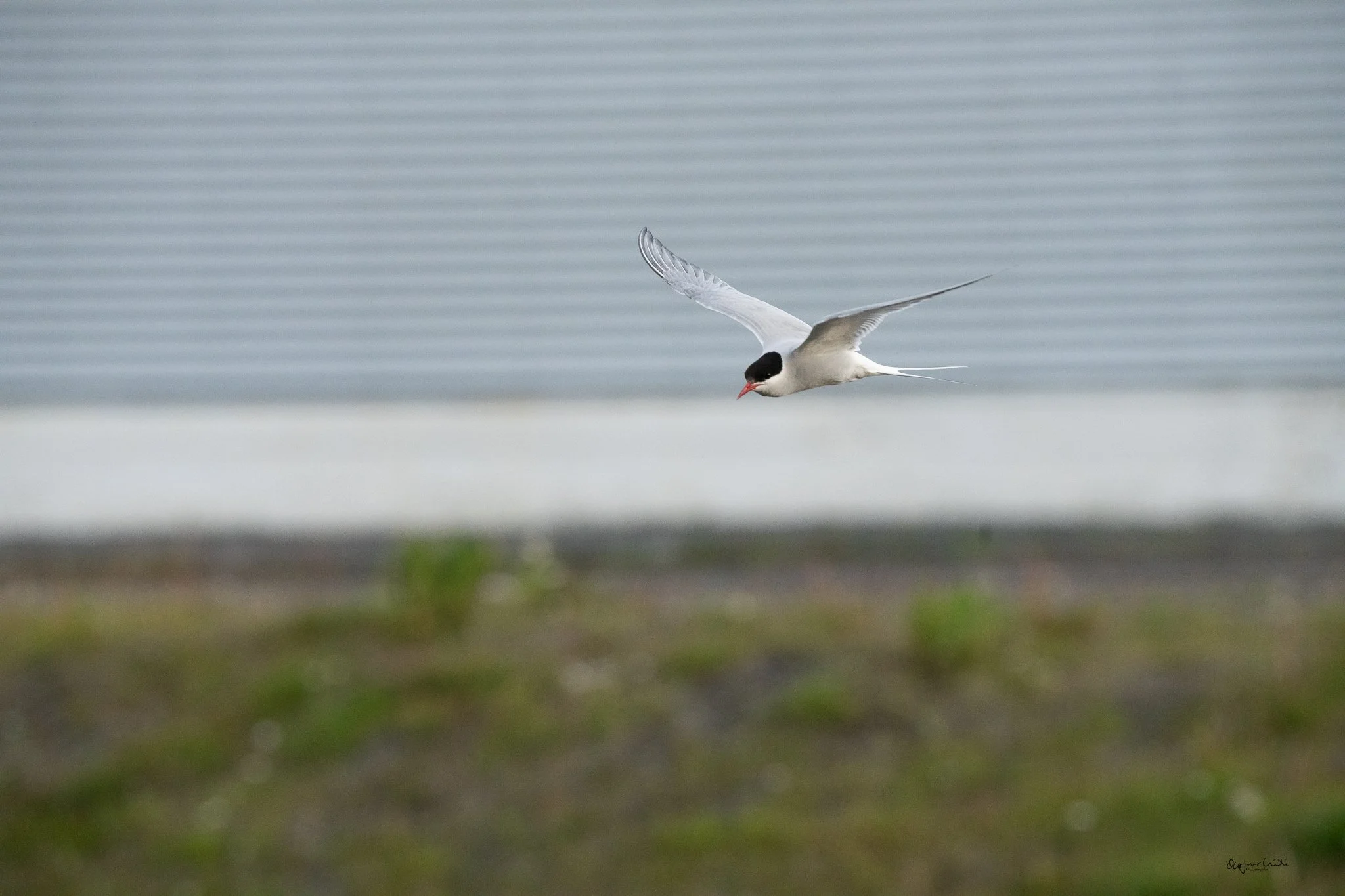 Spuearspace heimasíða-137.jpg