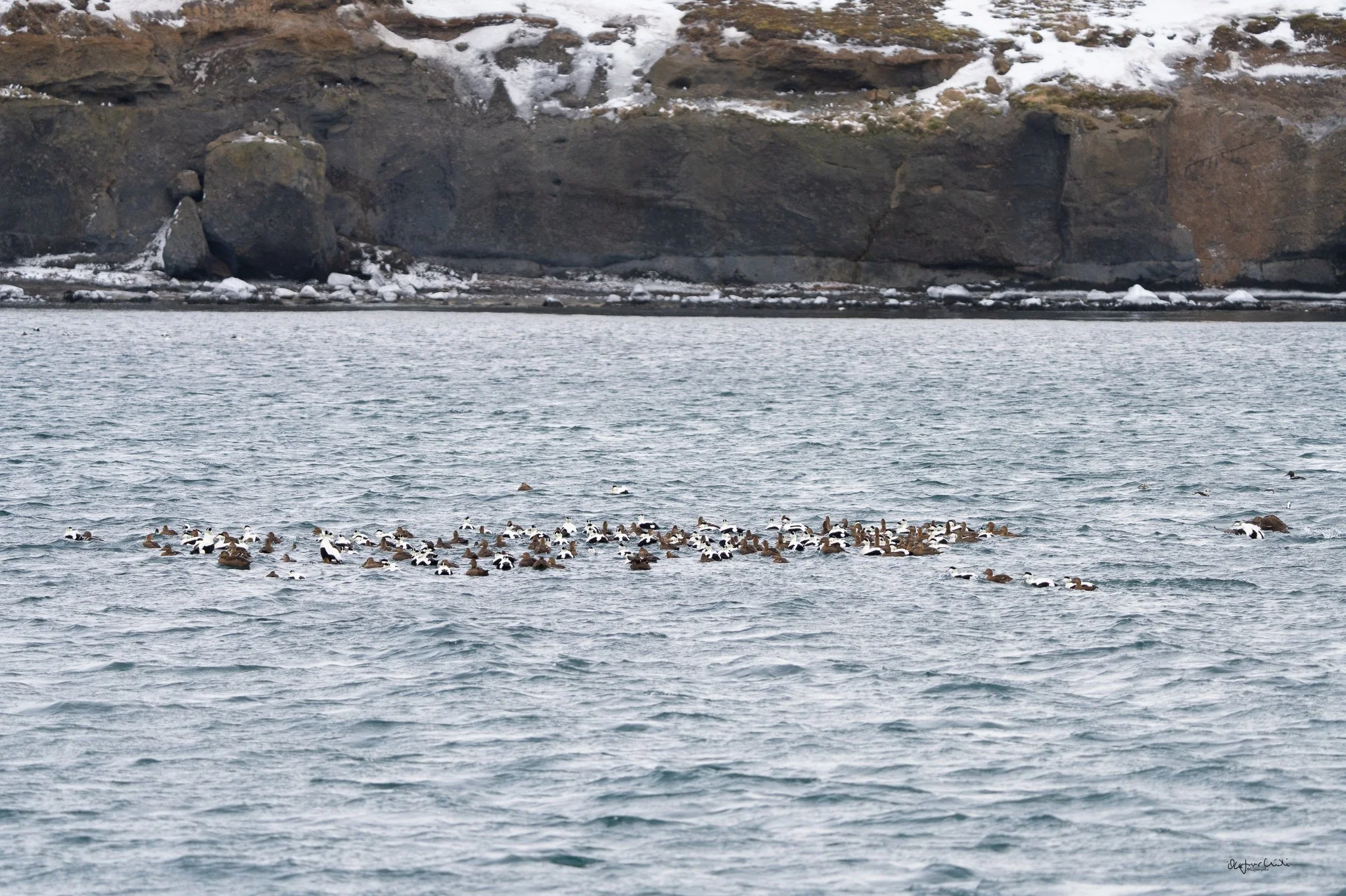 Spuearspace heimasíða-36.jpg
