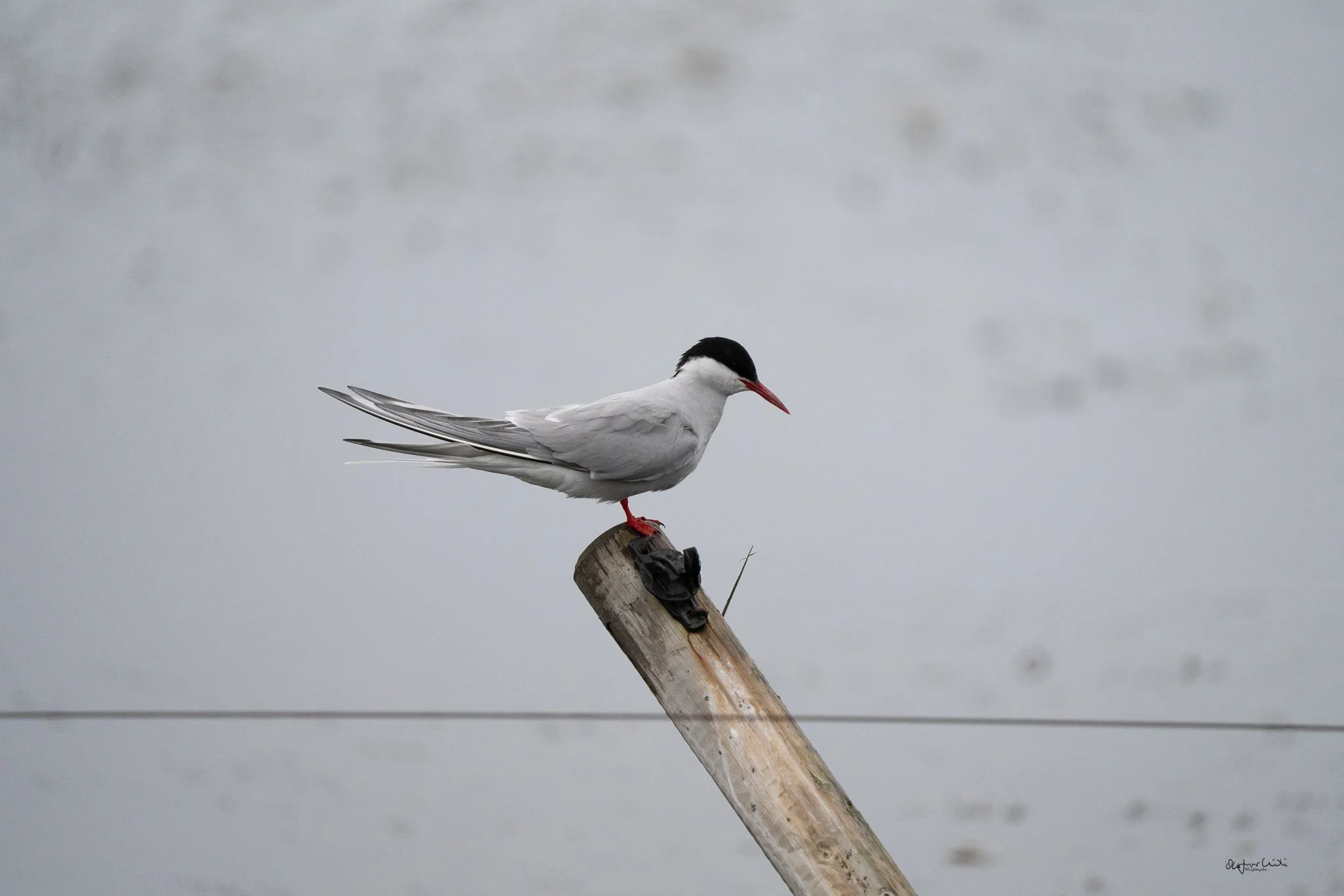 Spuearspace heimasíða-152.jpg