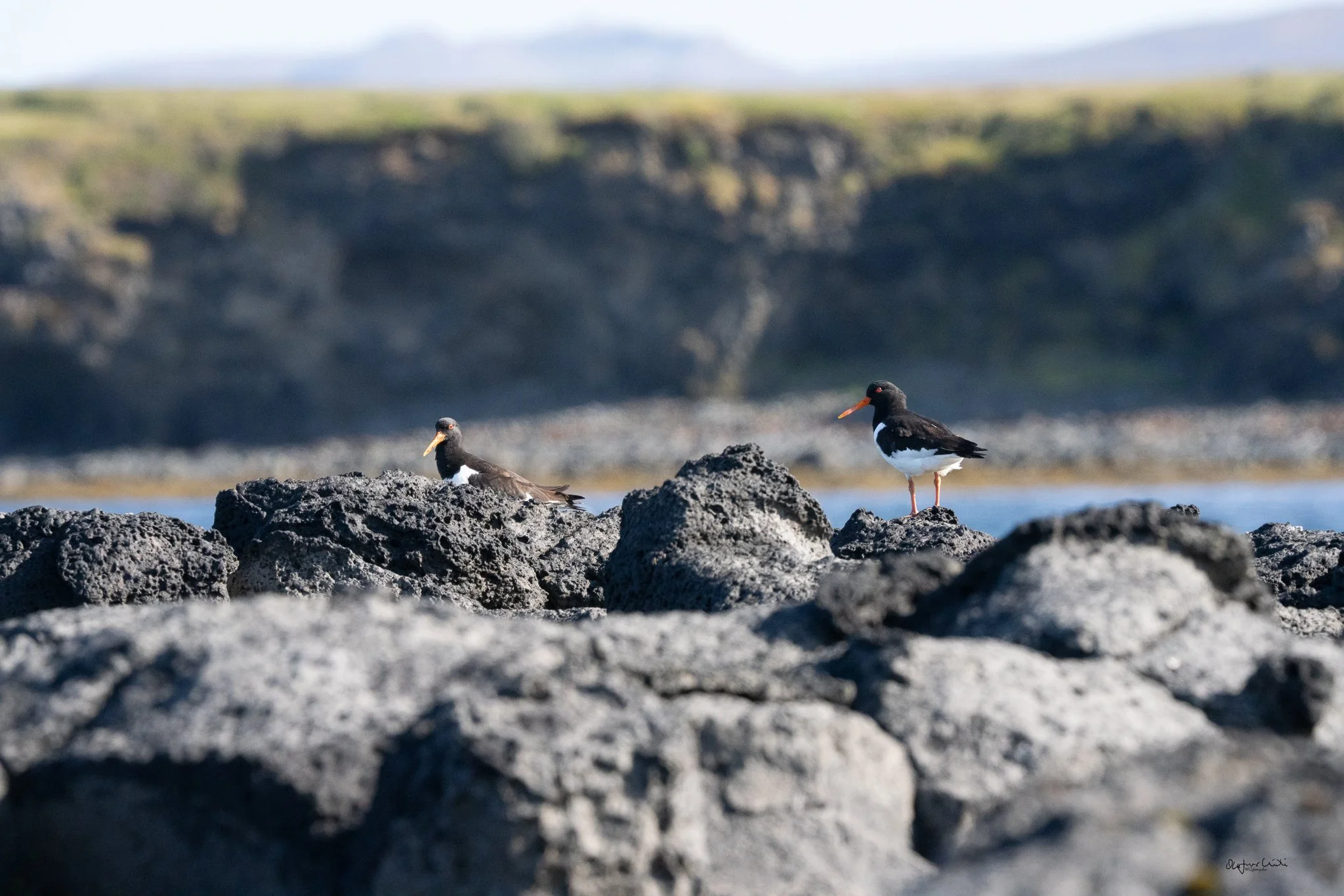 Spuearspace heimasíða-142.jpg