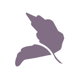Silhouetted image of a leaf with a stem and a flower petal