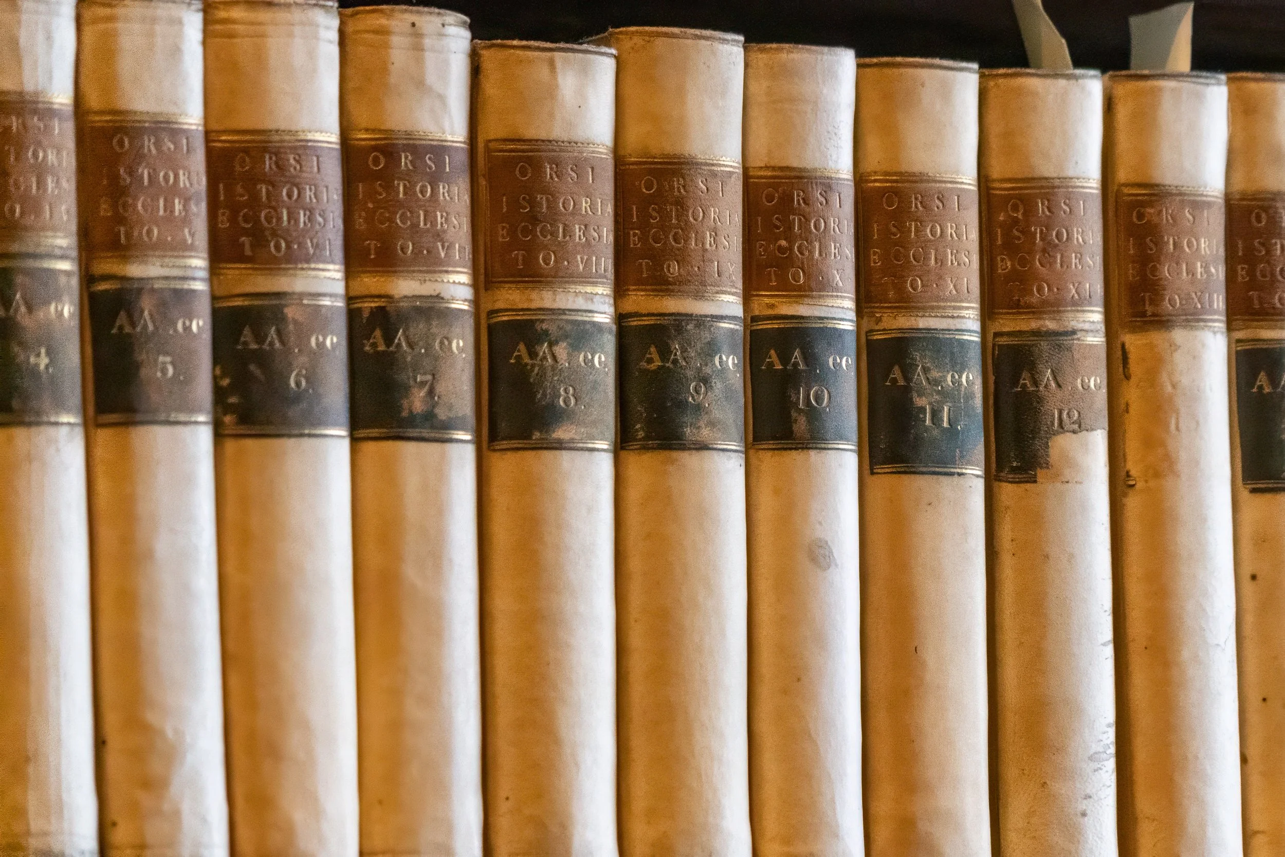 Close-up of centuries-old leather-bound volumes in the Long Room Library at Trinity College Dublin, reflecting Ireland's literary and scholarly heritage.
