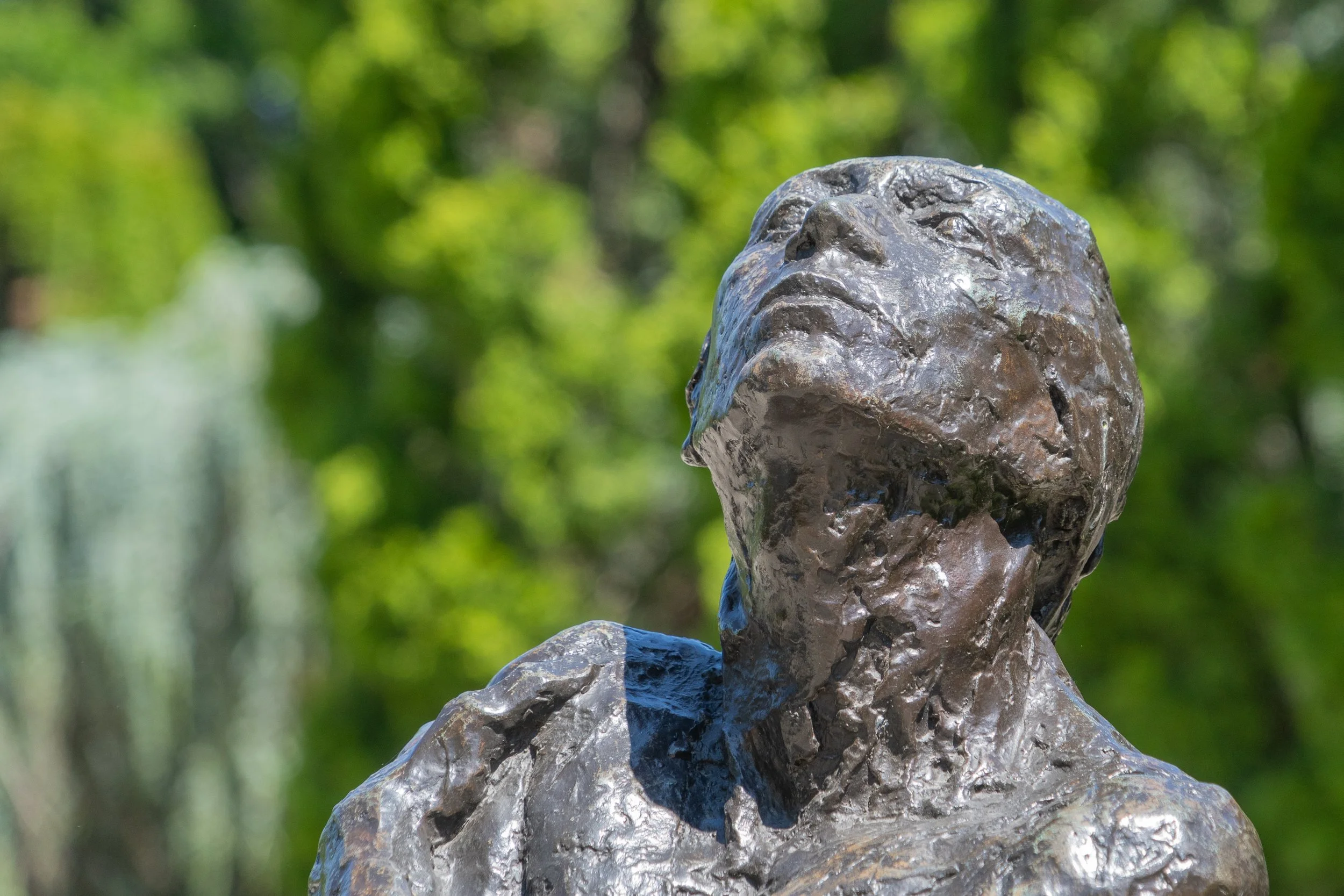 Close-up of a bronze sculpture gazing upward at Grounds For Sculpture in Hamilton, New Jersey, with a softly blurred green garden background.