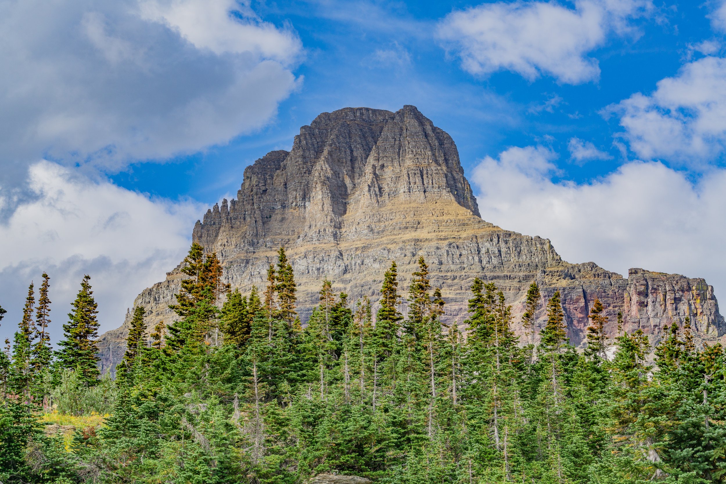 A towering mountain rises above a dense evergreen forest beneath dramatic clouds in Glacier National Park, Montana.