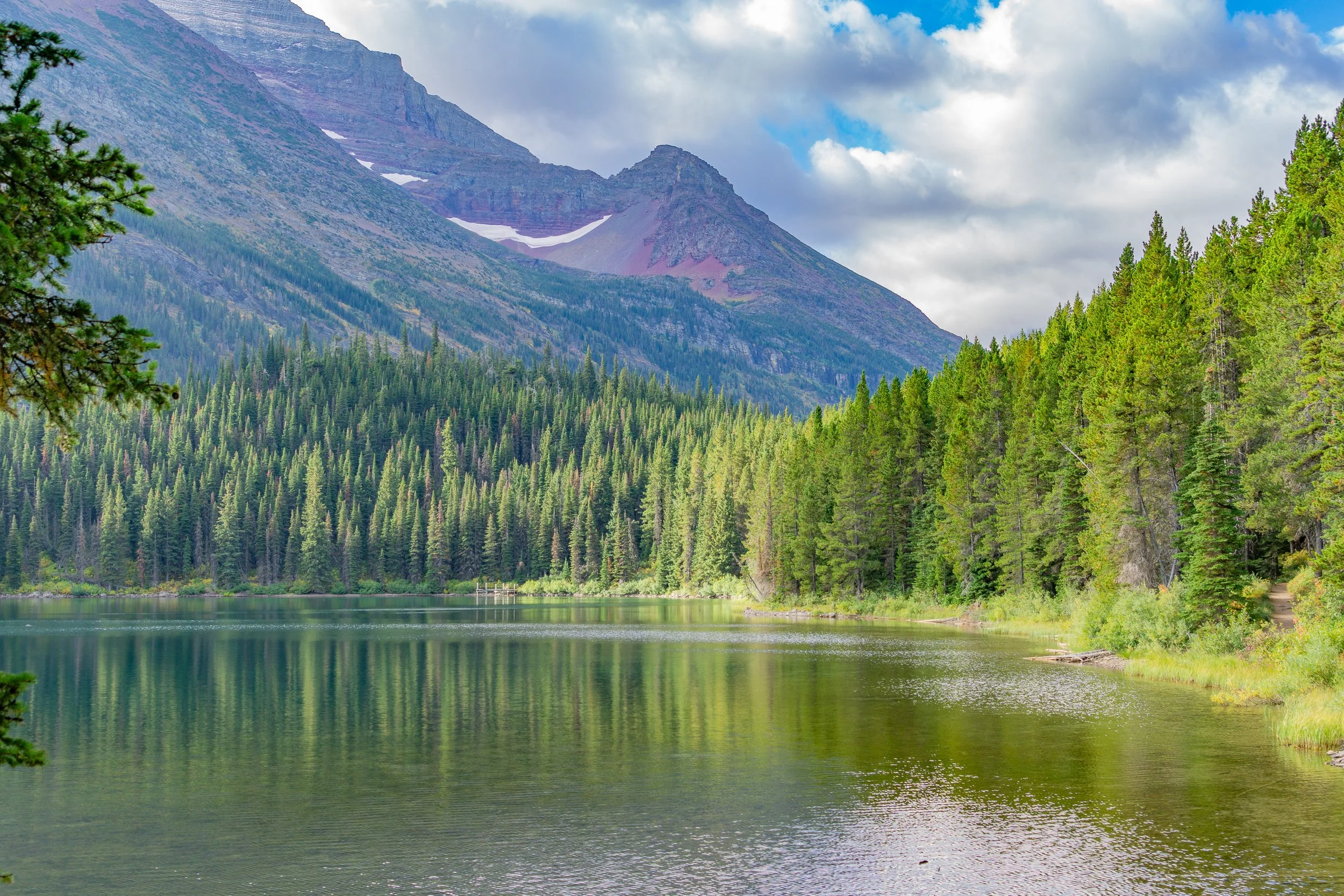 Evergreen forest reflected in a tranquil mountain lake beneath dramatic clouds in Glacier National Park, Montana.
