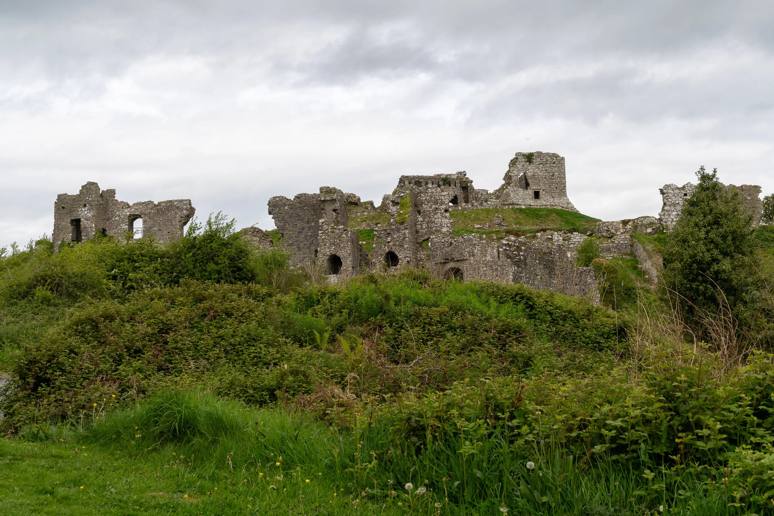 Ruins of a medieval stone castle rise above green vegetation beneath overcast skies in County Clare, Ireland.
