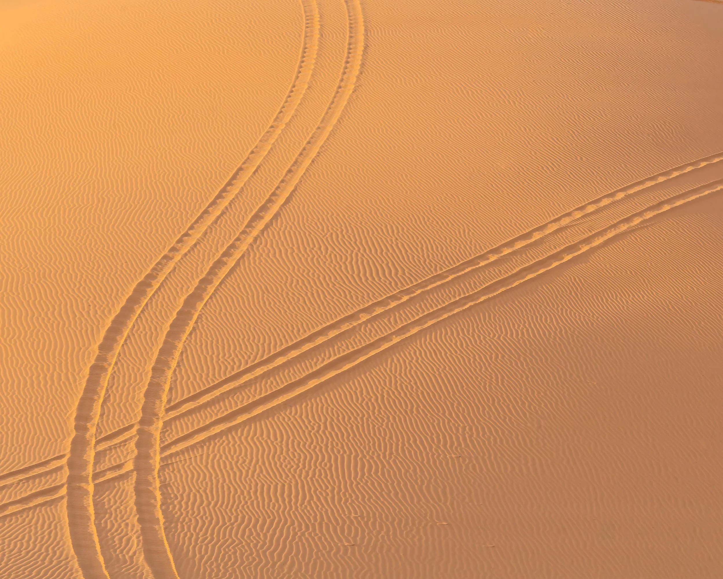 Curving tire tracks crossing wind-rippled sand dunes in warm golden light, creating a minimalist desert scene.