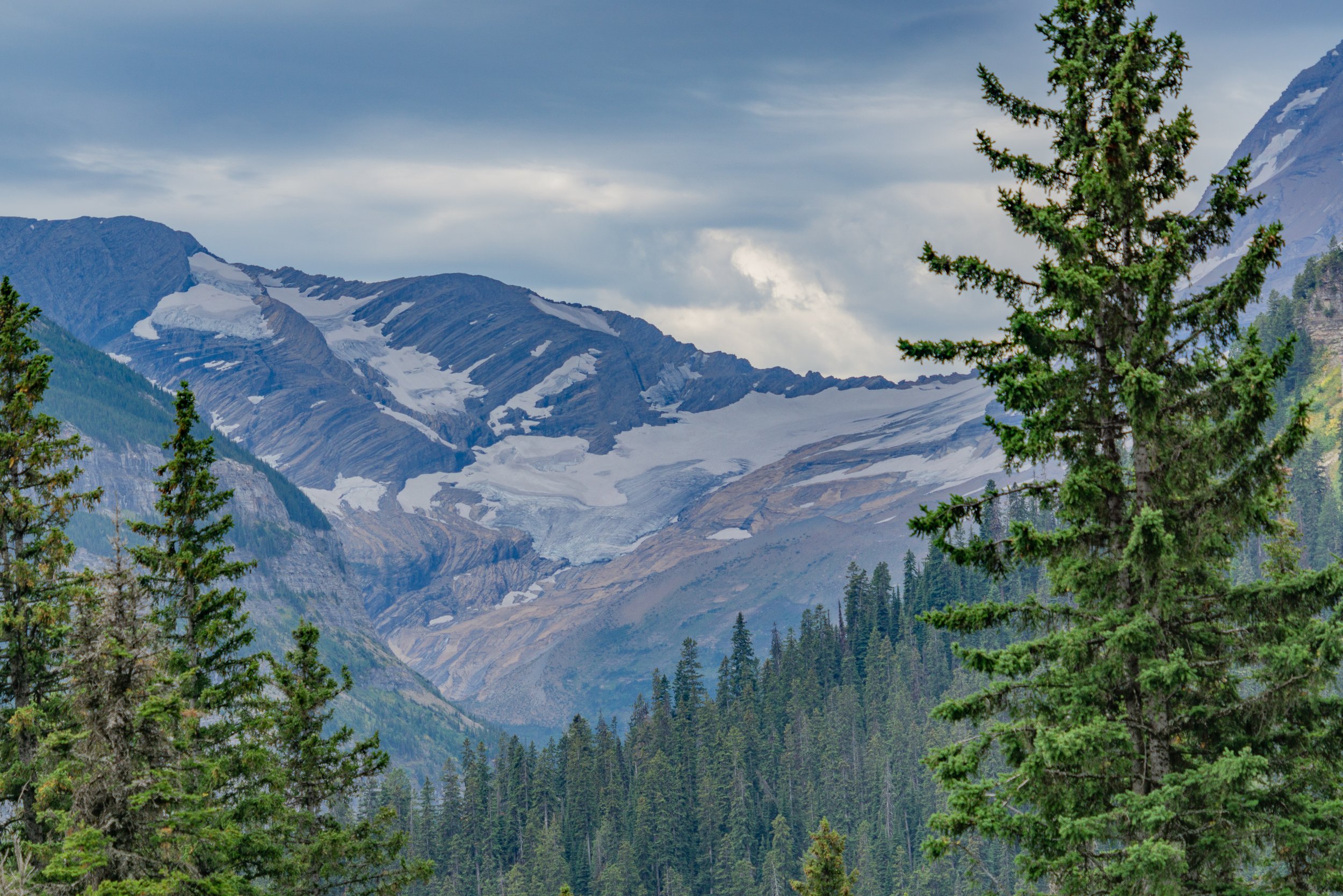 A mountain glacier rests beneath rugged alpine peaks, framed by evergreen trees in Glacier National Park, Montana.