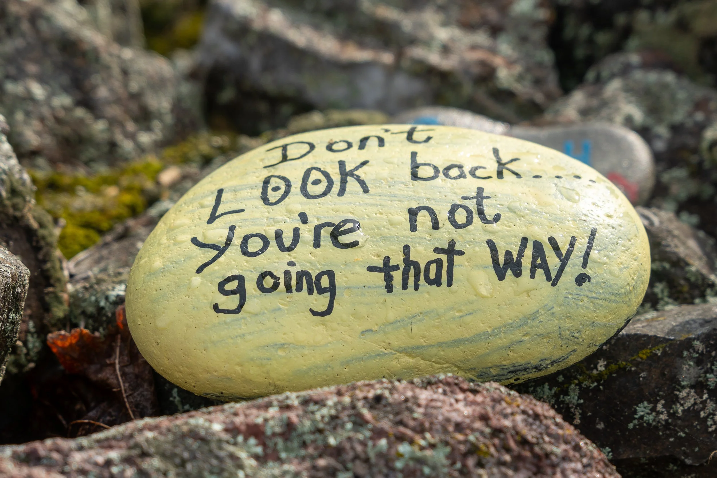 Painted stone reading, "Don't look back. You're not going that way!"