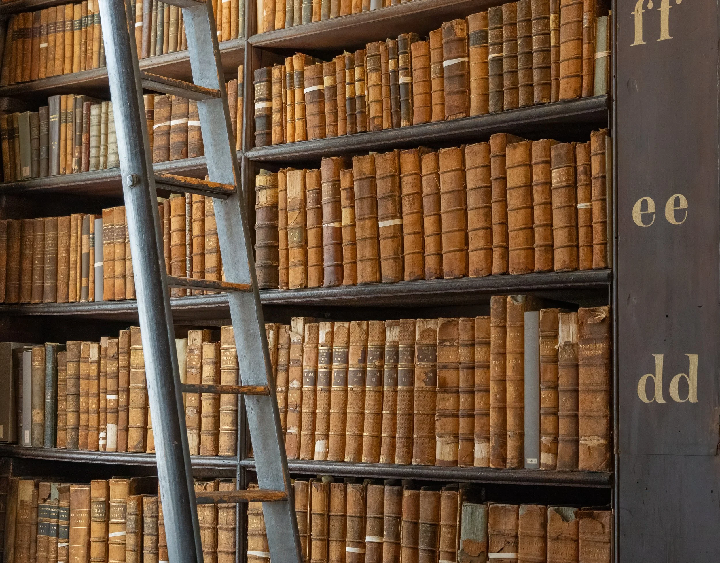 Historic bookshelves and library ladder inside the Long Room at Trinity College Dublin, home to one of Ireland's most treasured collections of rare books.