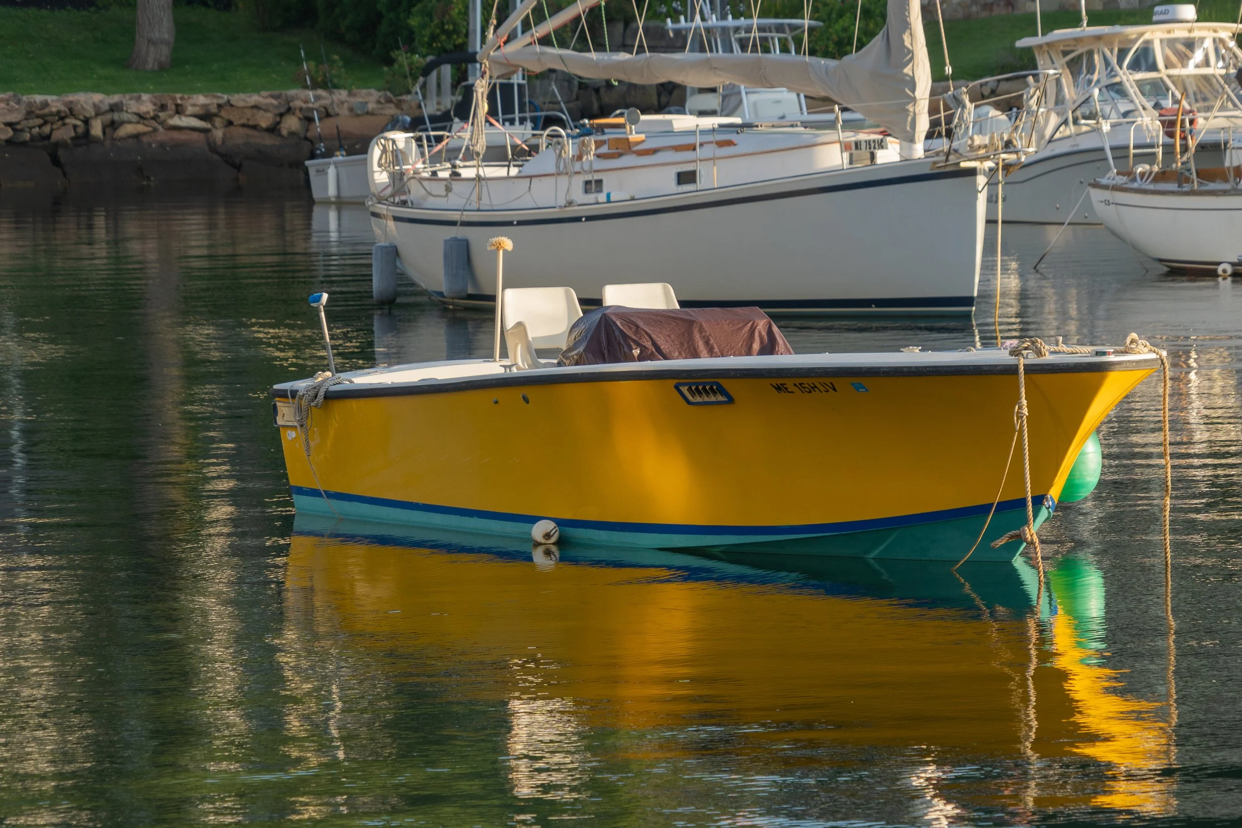 Golden in the Cove