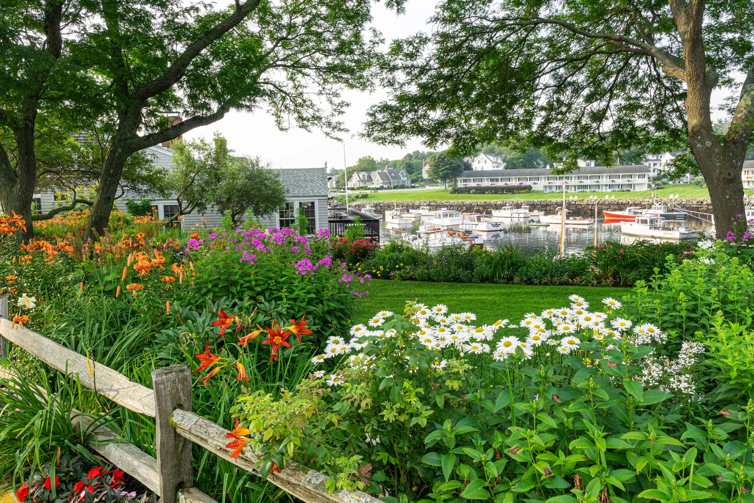 Colorful flower garden overlooking Perkins Cove in Ogunquit, Maine