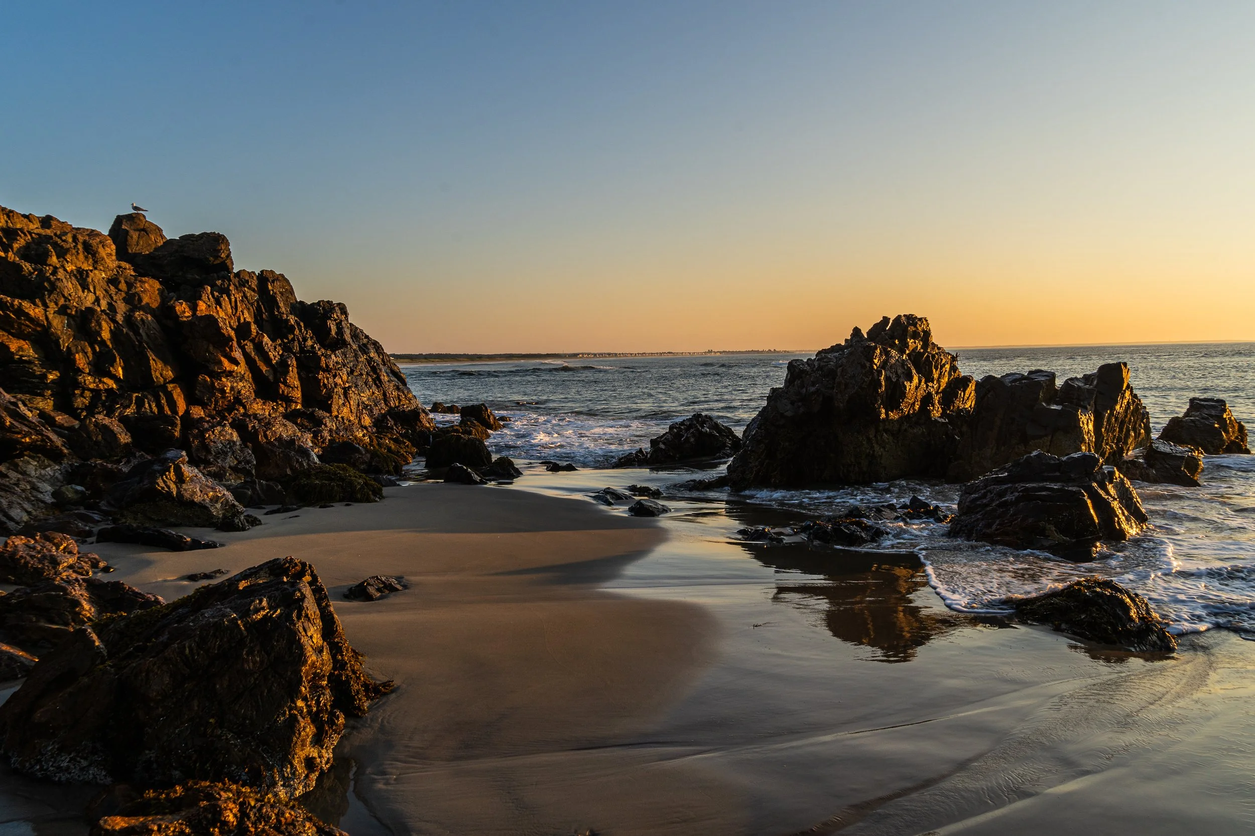 Rocky shoreline along Marginal Way in Ogunquit, Maine, at sunrise with golden light reflecting on wet sand.