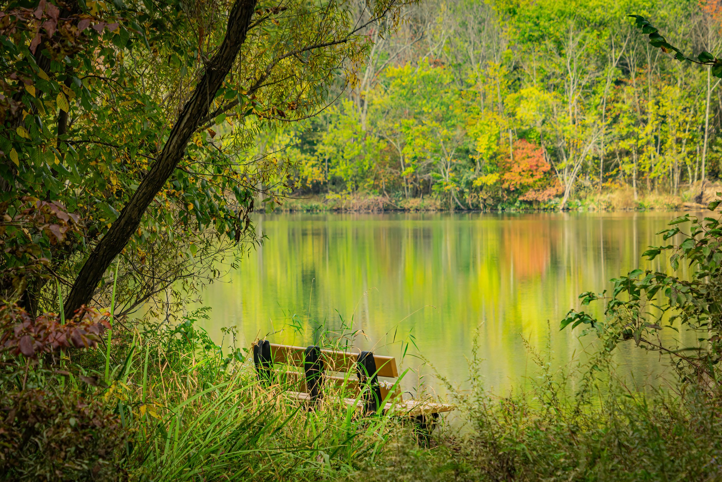 Wooden bench overlooking Lake Galena in Peace Valley Park, Pennsylvania, with colorful tree reflections on calm water.