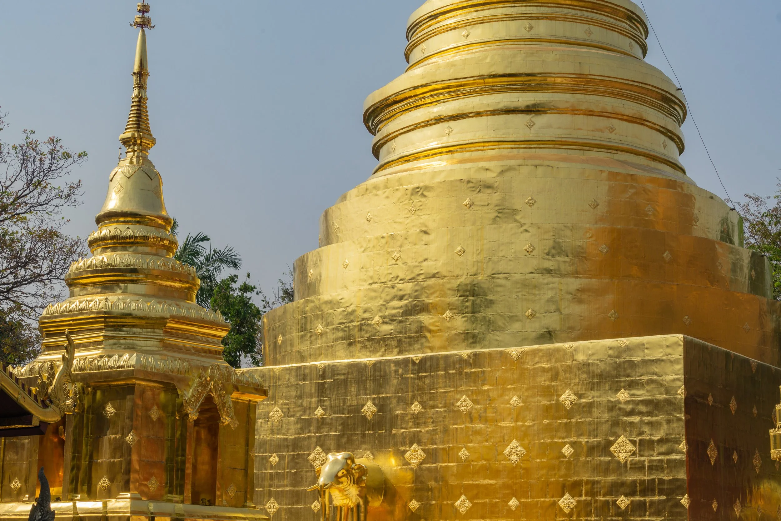 Golden Buddhist chedi and temple structures gleaming in sunlight in northern Thailand.