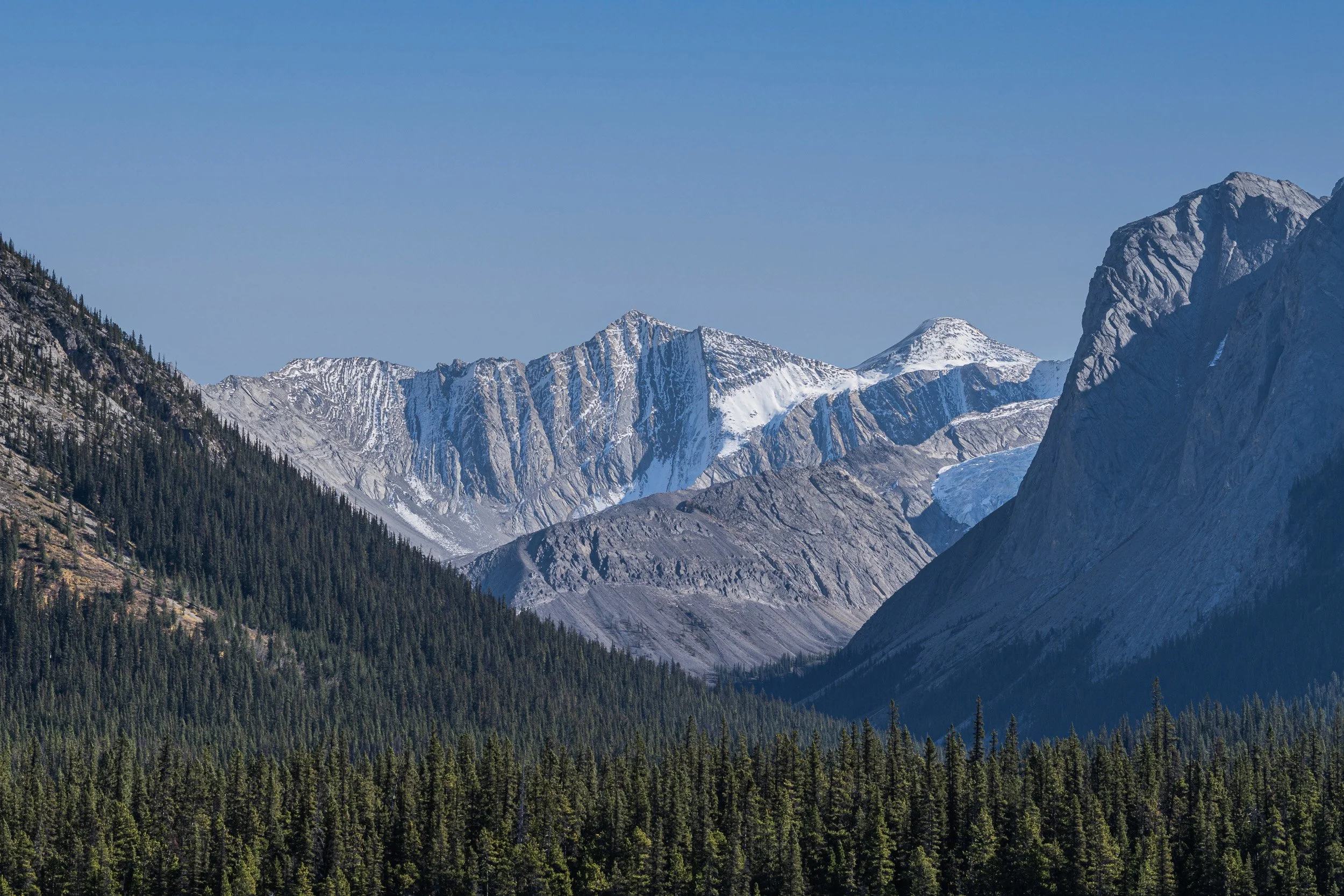 Snow-covered peaks and rugged ridgelines rise above a sweeping evergreen valley in the Canadian Rockies.