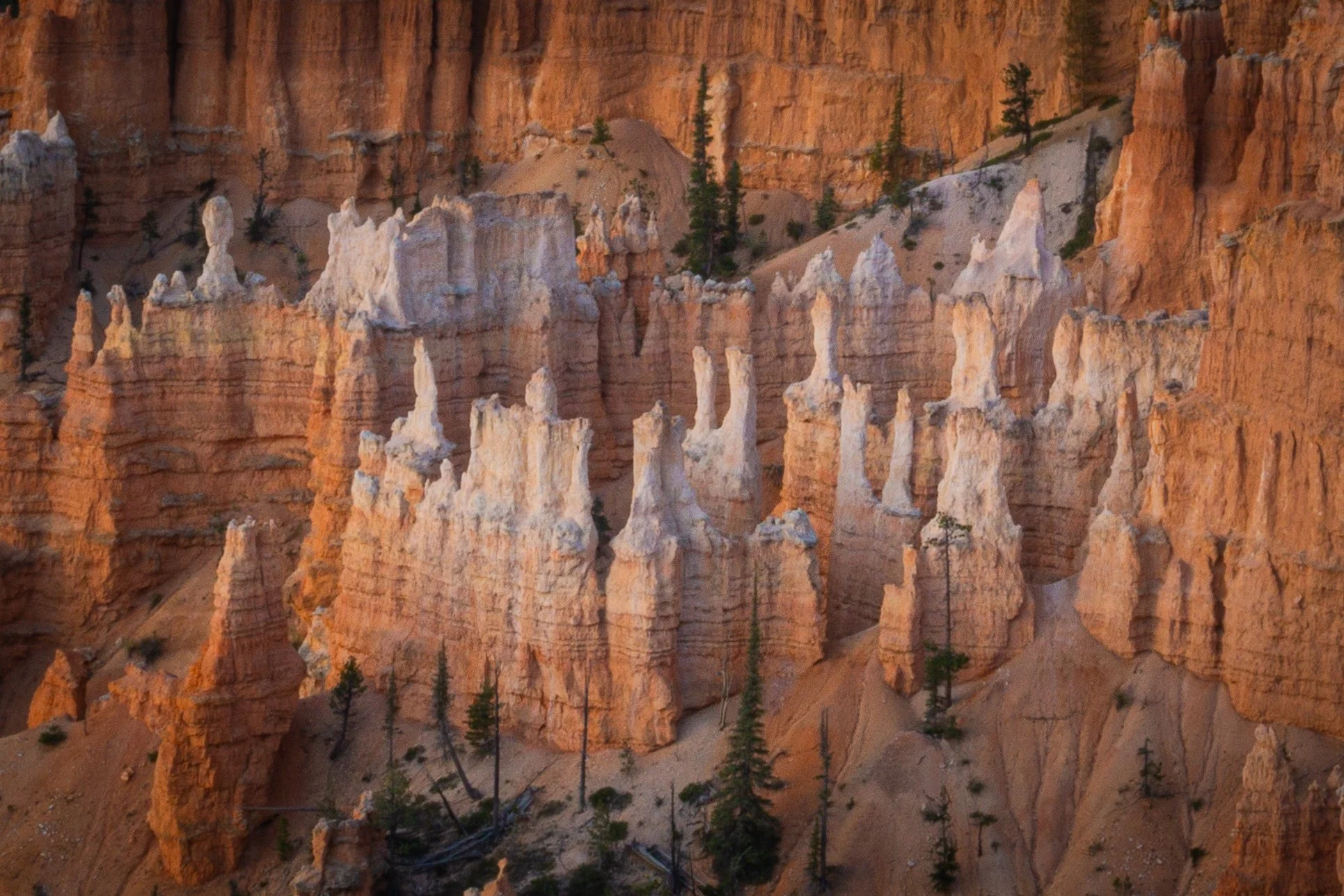 Sunrise illuminating towering hoodoos in Bryce Canyon National Park, Utah.