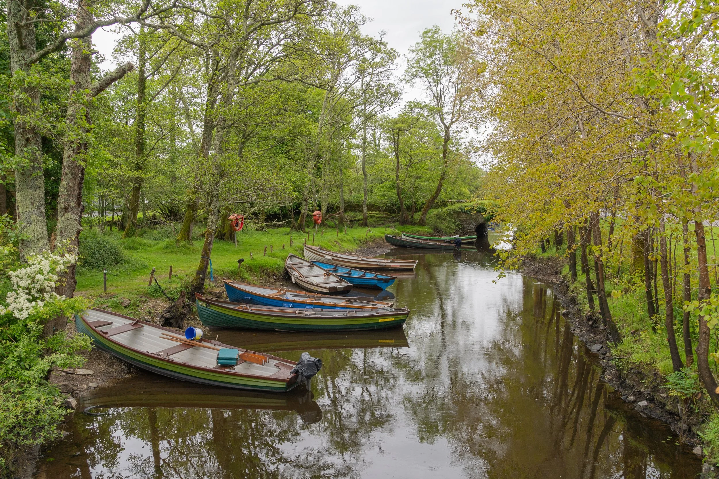 Small wooden boats resting along a tranquil river beneath spring trees in Killarney National Park, their reflections mirrored in the calm water.
