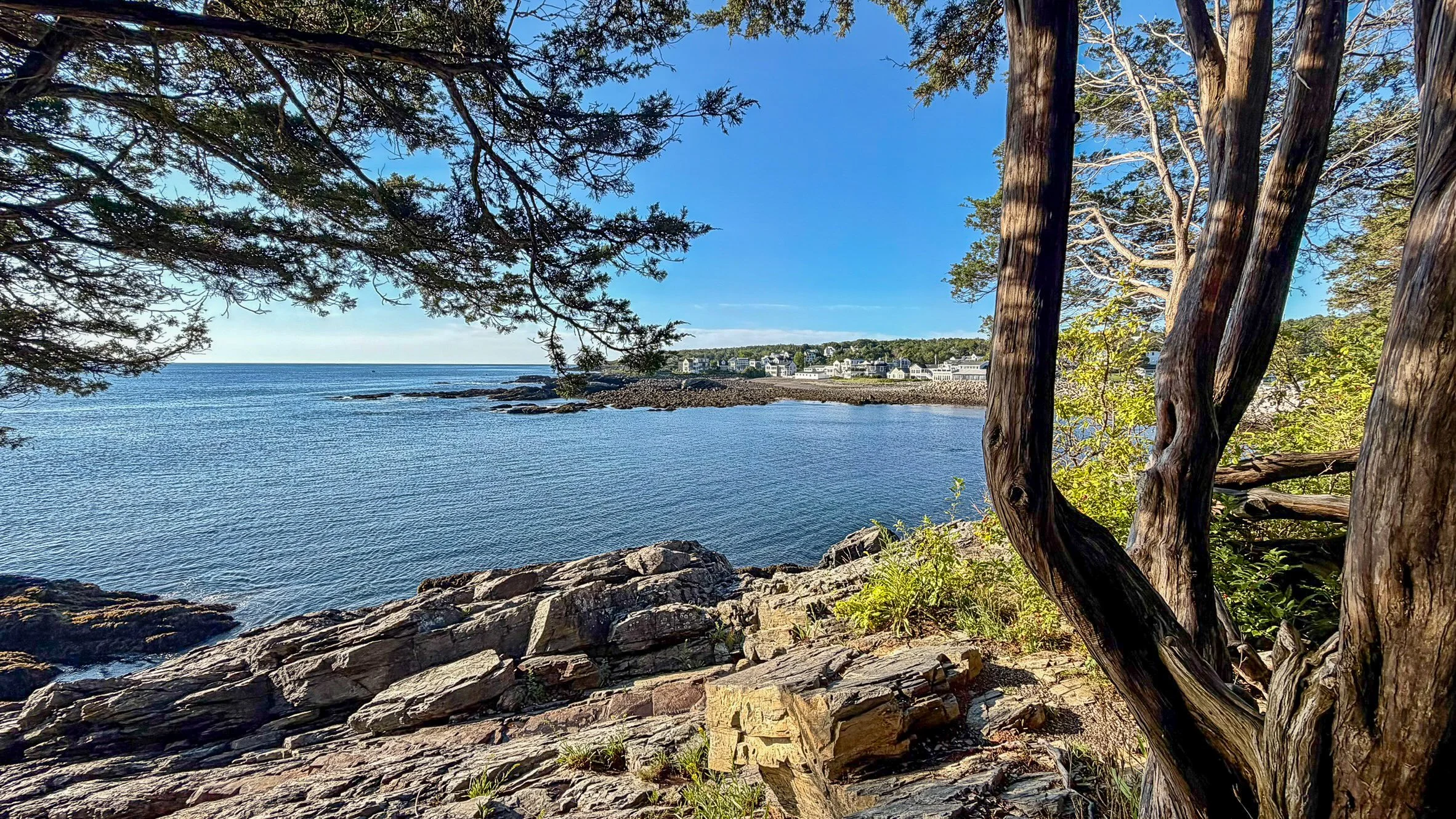 Atlantic Ocean view framed by trees along the Marginal Way