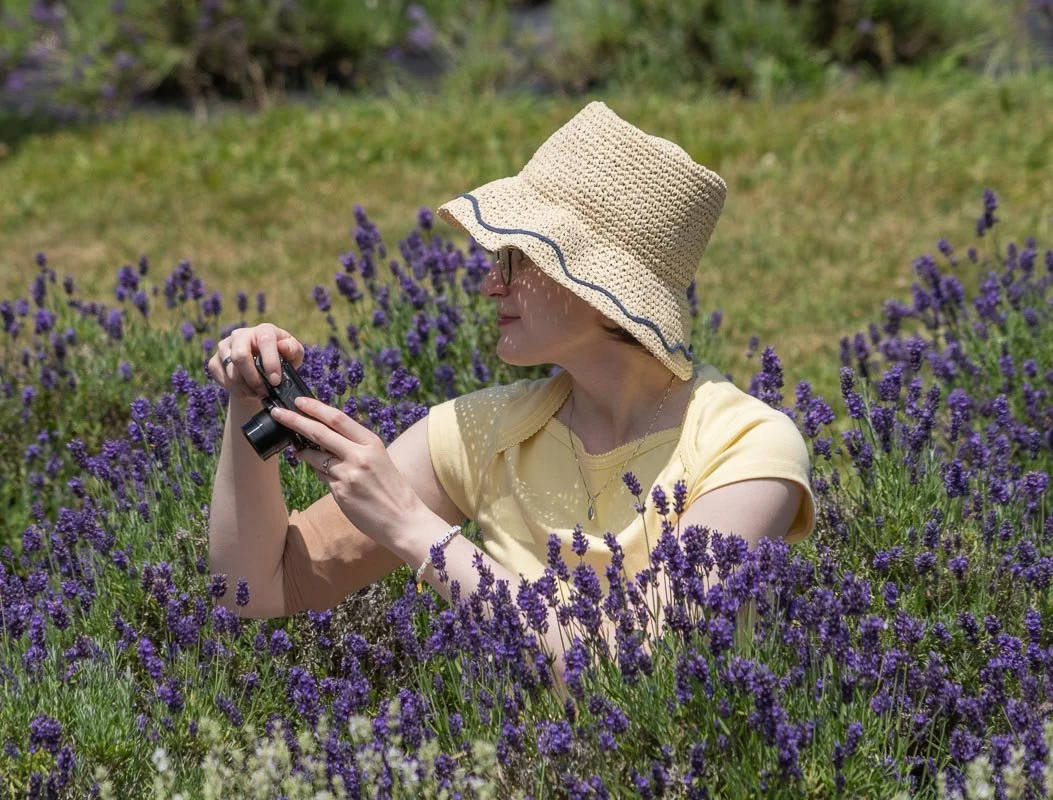 Visitor photographing blooming lavender while seated among the flowers at Peace Valley Lavender Farm in Bucks County, Pennsylvania.
