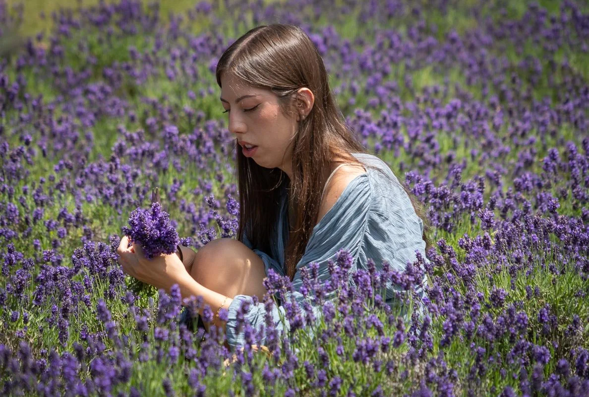 Visitor sitting among blooming lavender while holding a freshly gathered bouquet at Peace Valley Lavender Farm in Bucks County, Pennsylvania.