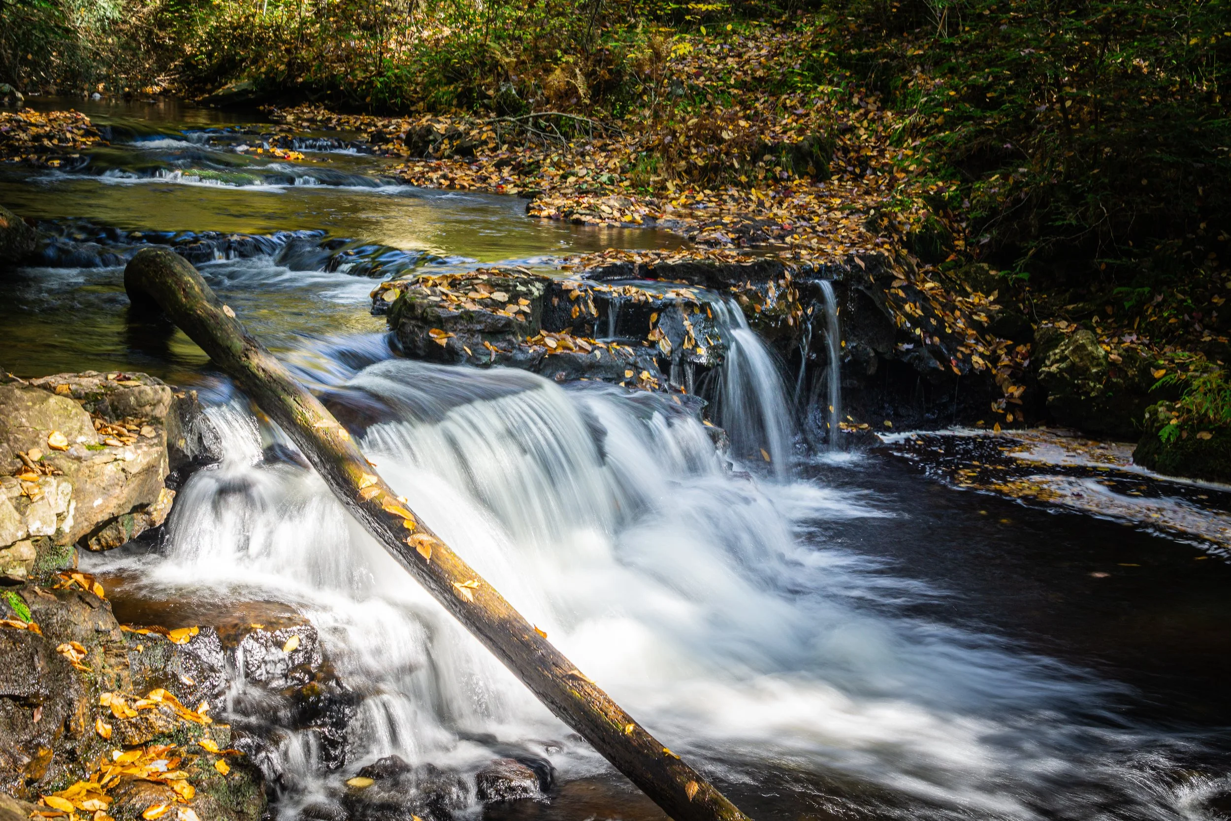 Woodland waterfall cascading over layered rocks with a fallen log and autumn leaves in Ricketts Glen State Park, Pennsylvania.