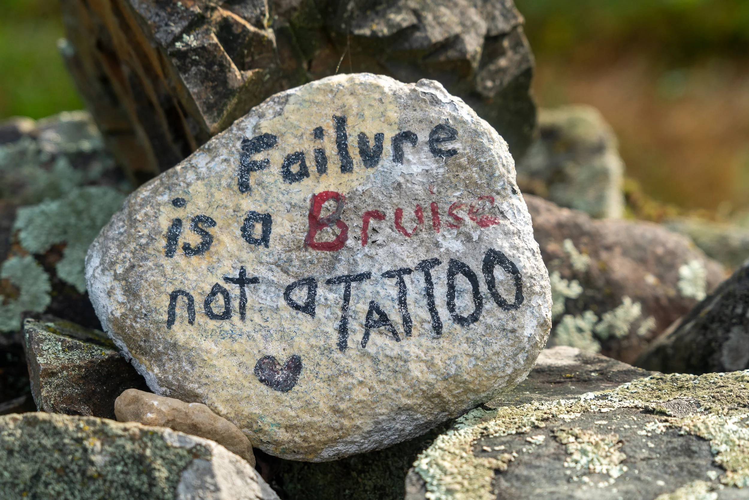 Painted stone displaying the message, "Failure is a bruise, not a tattoo."