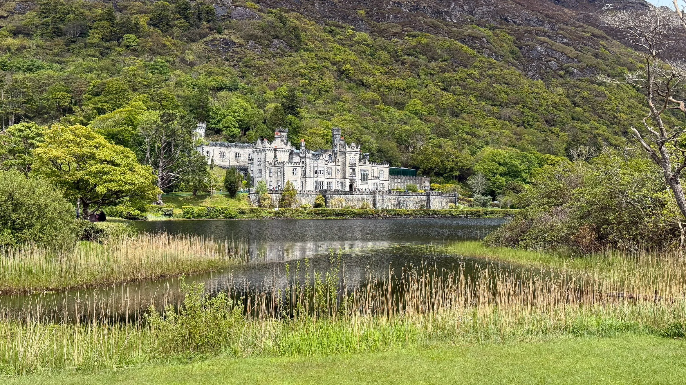 Kylemore Abbey reflects across the calm waters of Pollacappul Lough, surrounded by lush woodlands in Connemara, County Galway, Ireland.