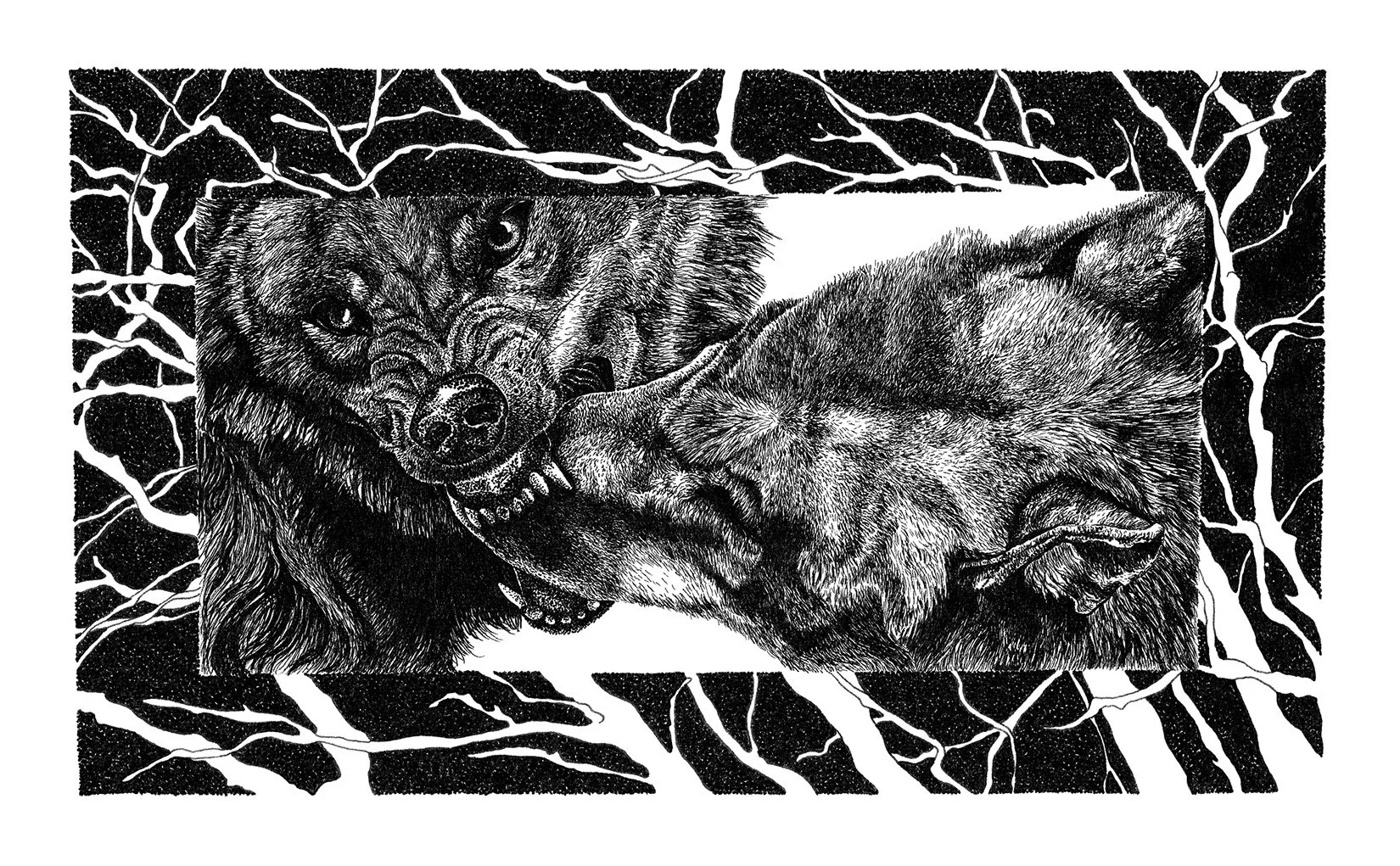 Untitled, Ink on Bristol, 4x8in.