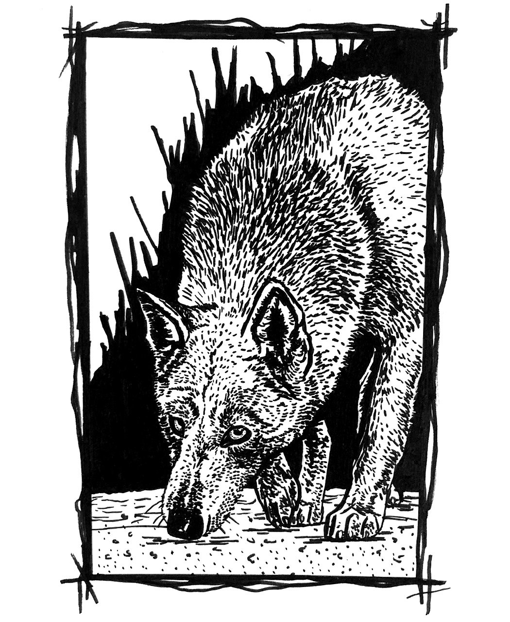 Wild Women Don't Get the Blues, Ink on paper, 5.5x4.5in.