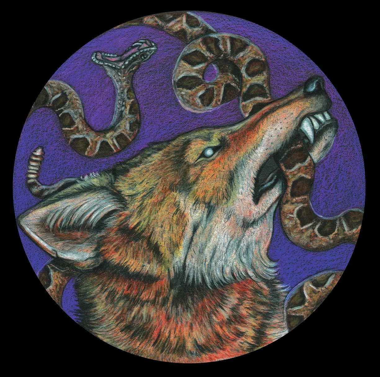 Untitled, Colored pencil on illustration board, 8x8in.