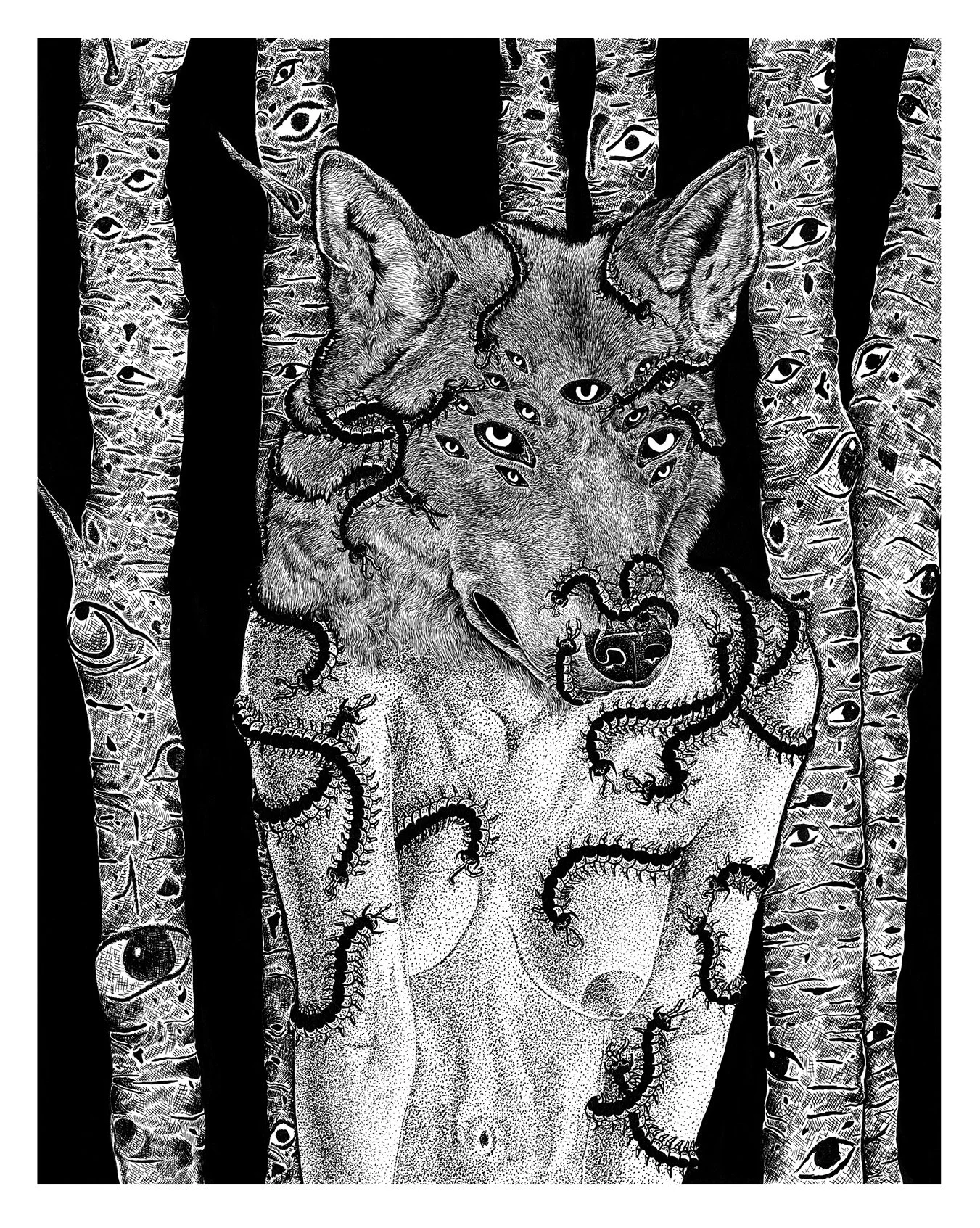Untitled, ink on Bristol, 11x17in.